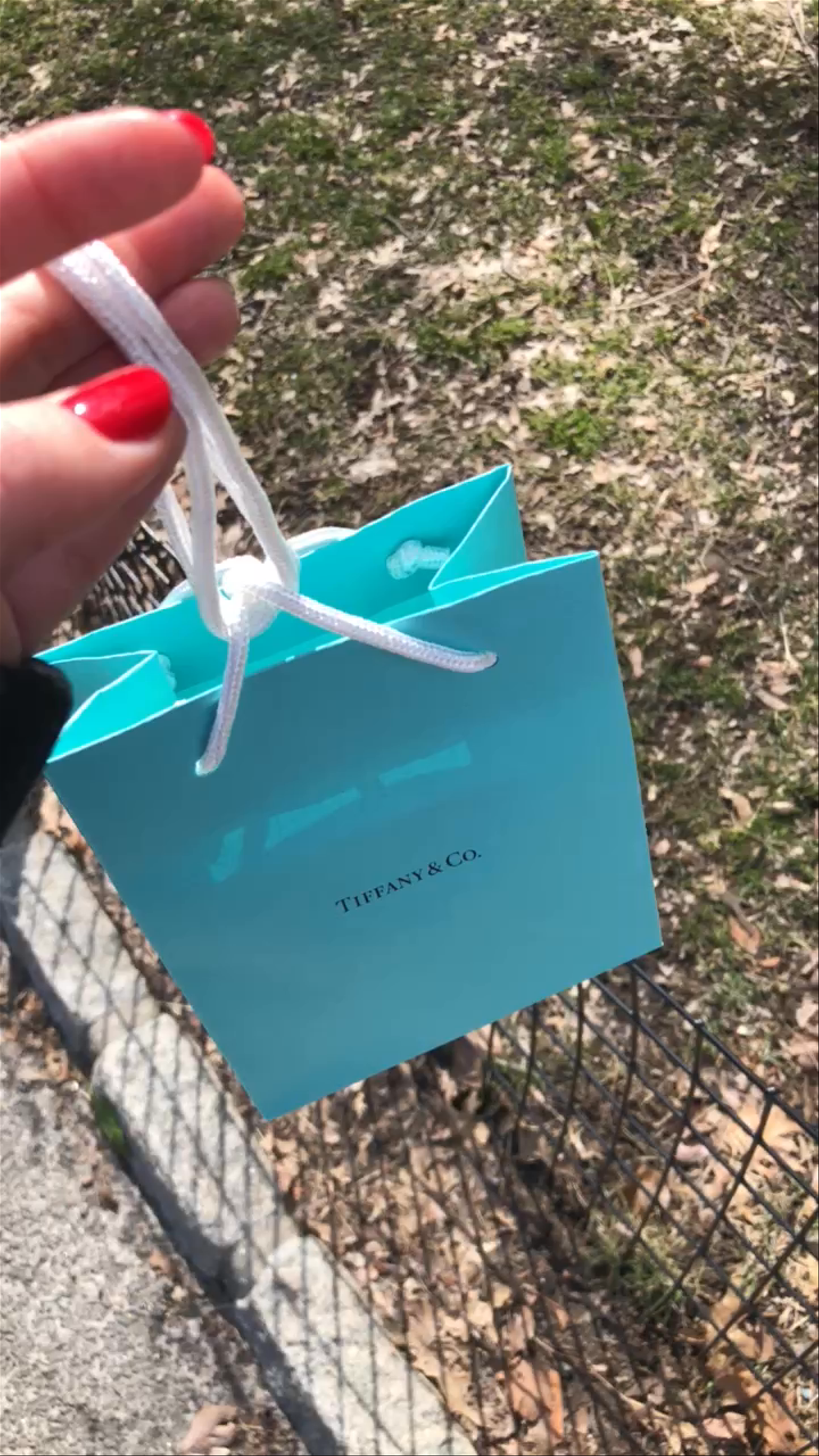 Spring Stroll in Central Park with Tiffany & Co. Surprise