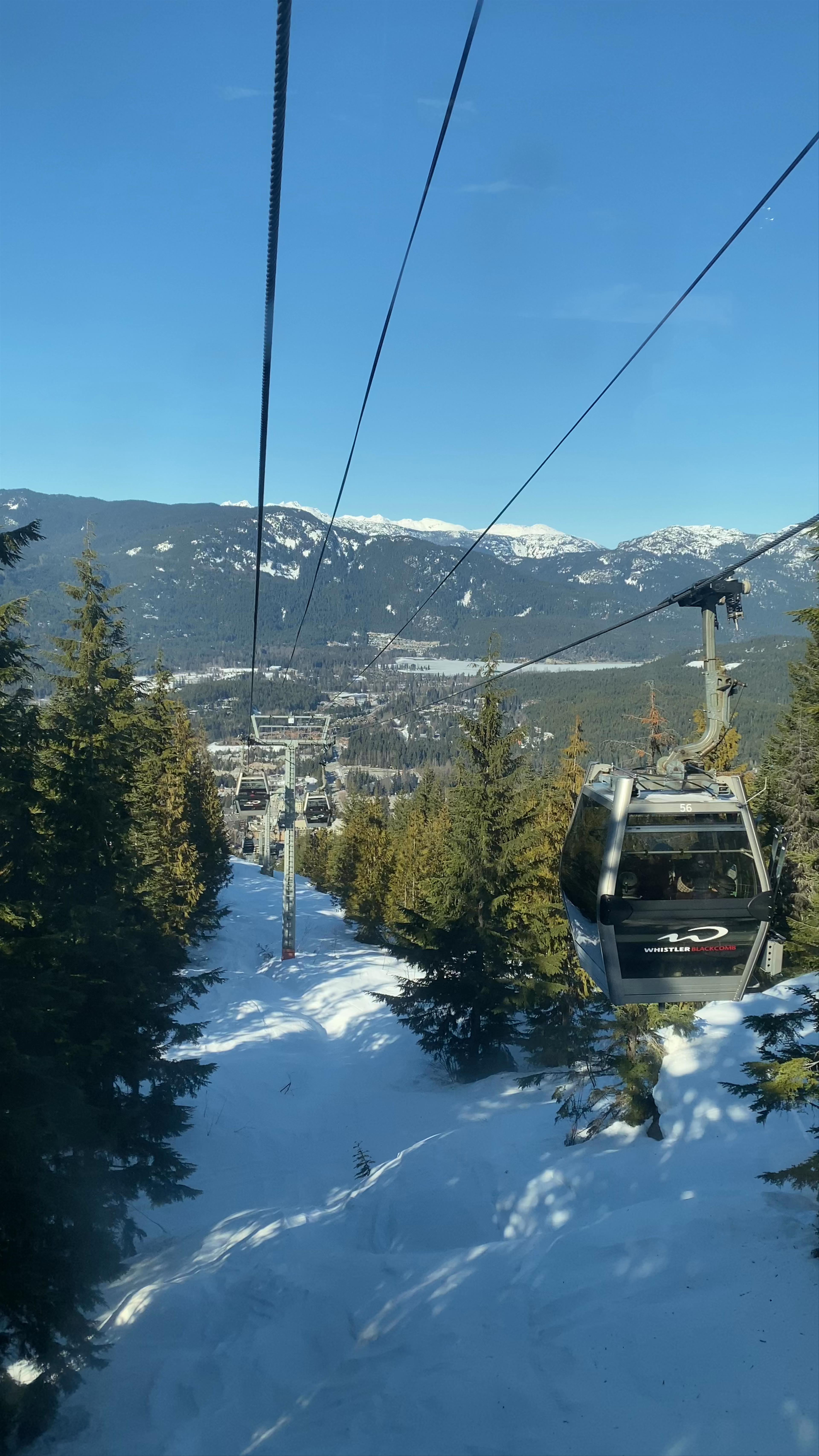 Whistler Mountain