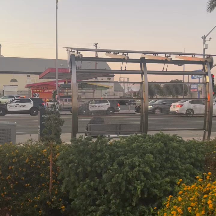 South Gate - All the illegal fireworks in front of their faces. And there arresting the black folk. - Police Departments Near Me - South Gate, California