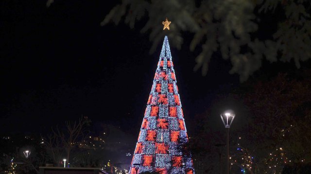  Christmas tree in the city