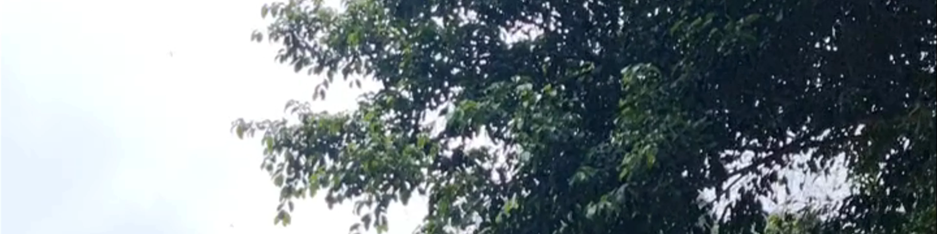 Đền thờ Quý Minh Đại Vương