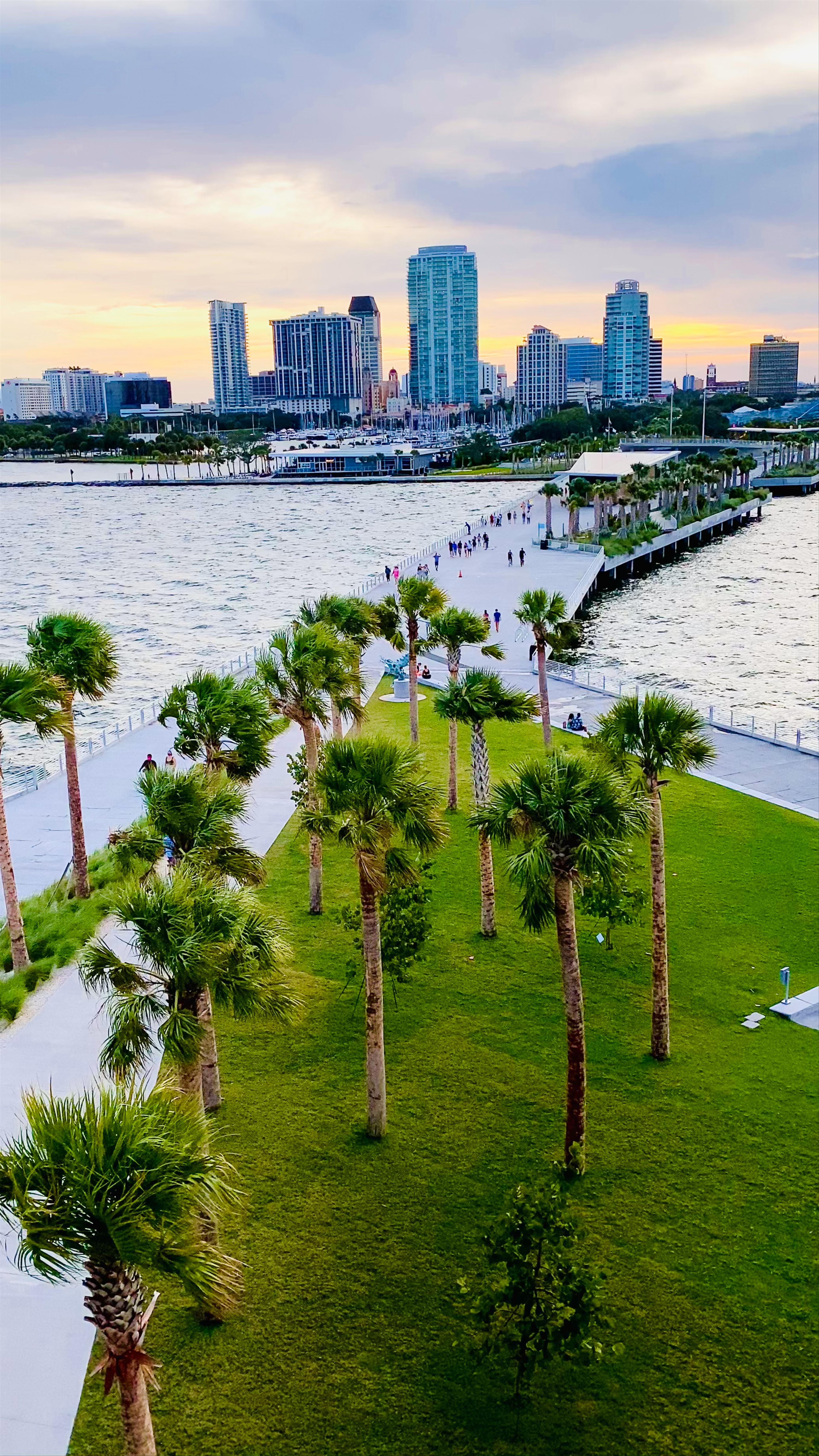 St. Pete Pier™