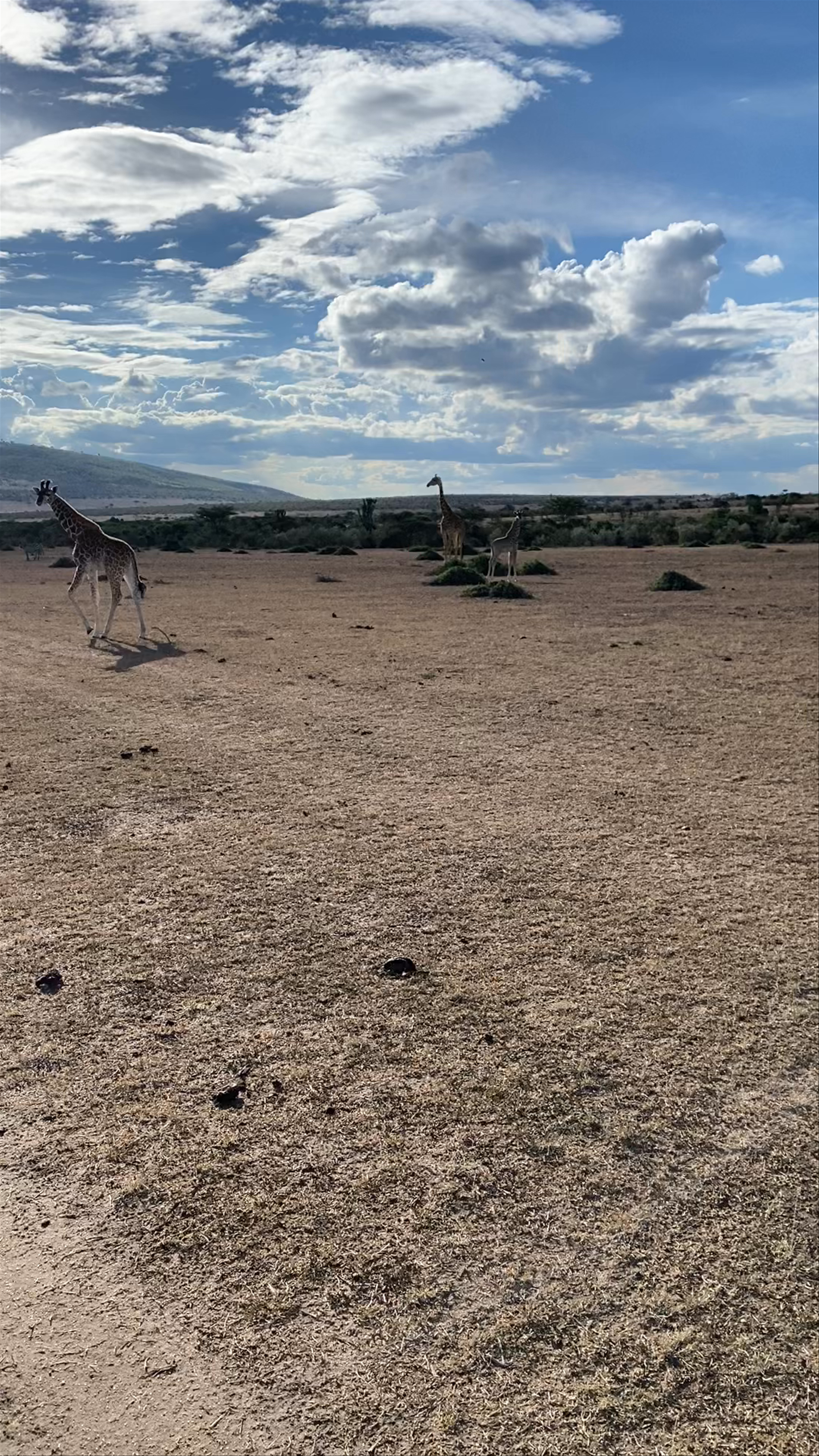 Masai Mara National Reserve