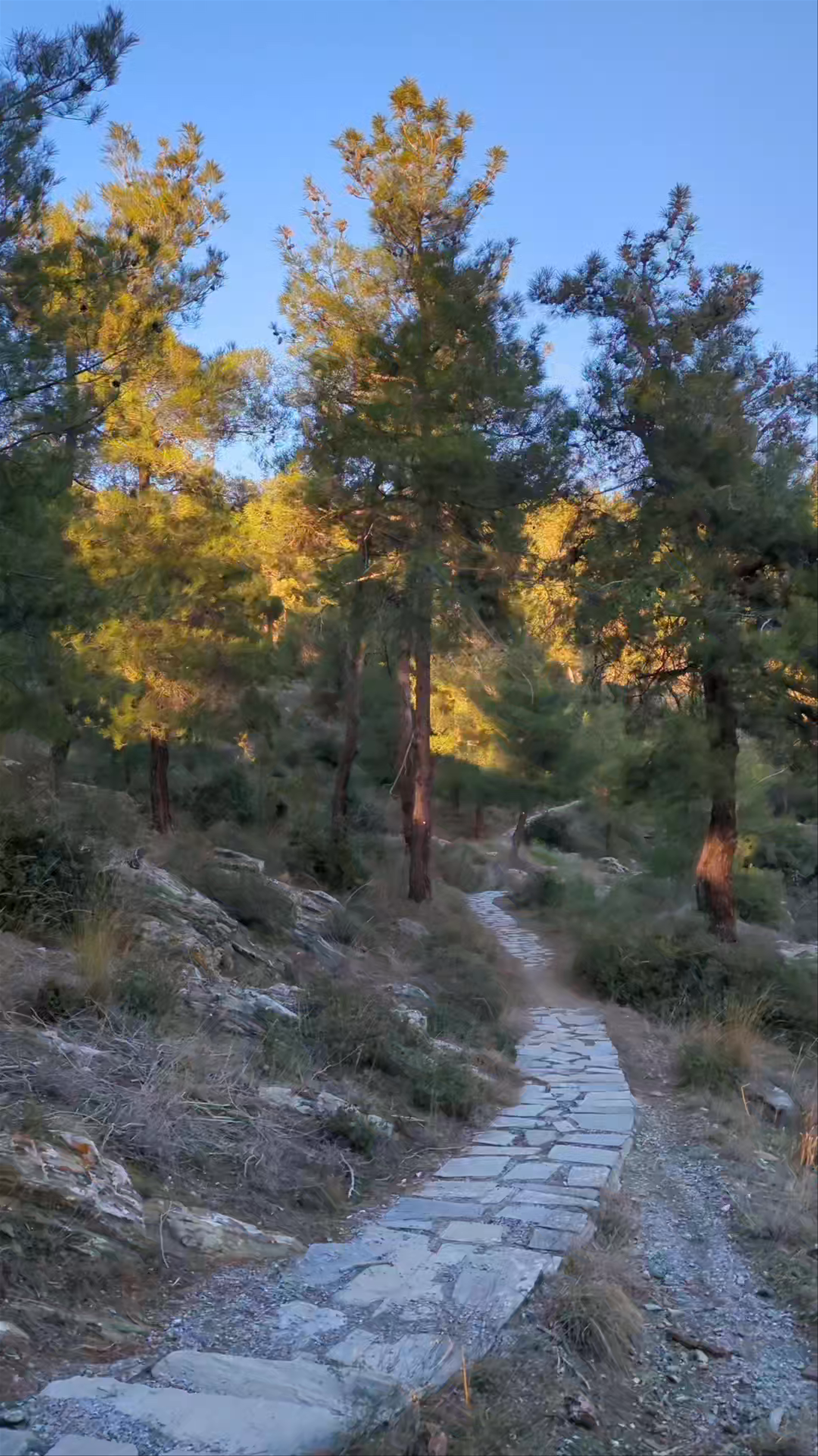 Seih Sou Nature Trail: Golden Hour Trek in Chortiatis, Greece