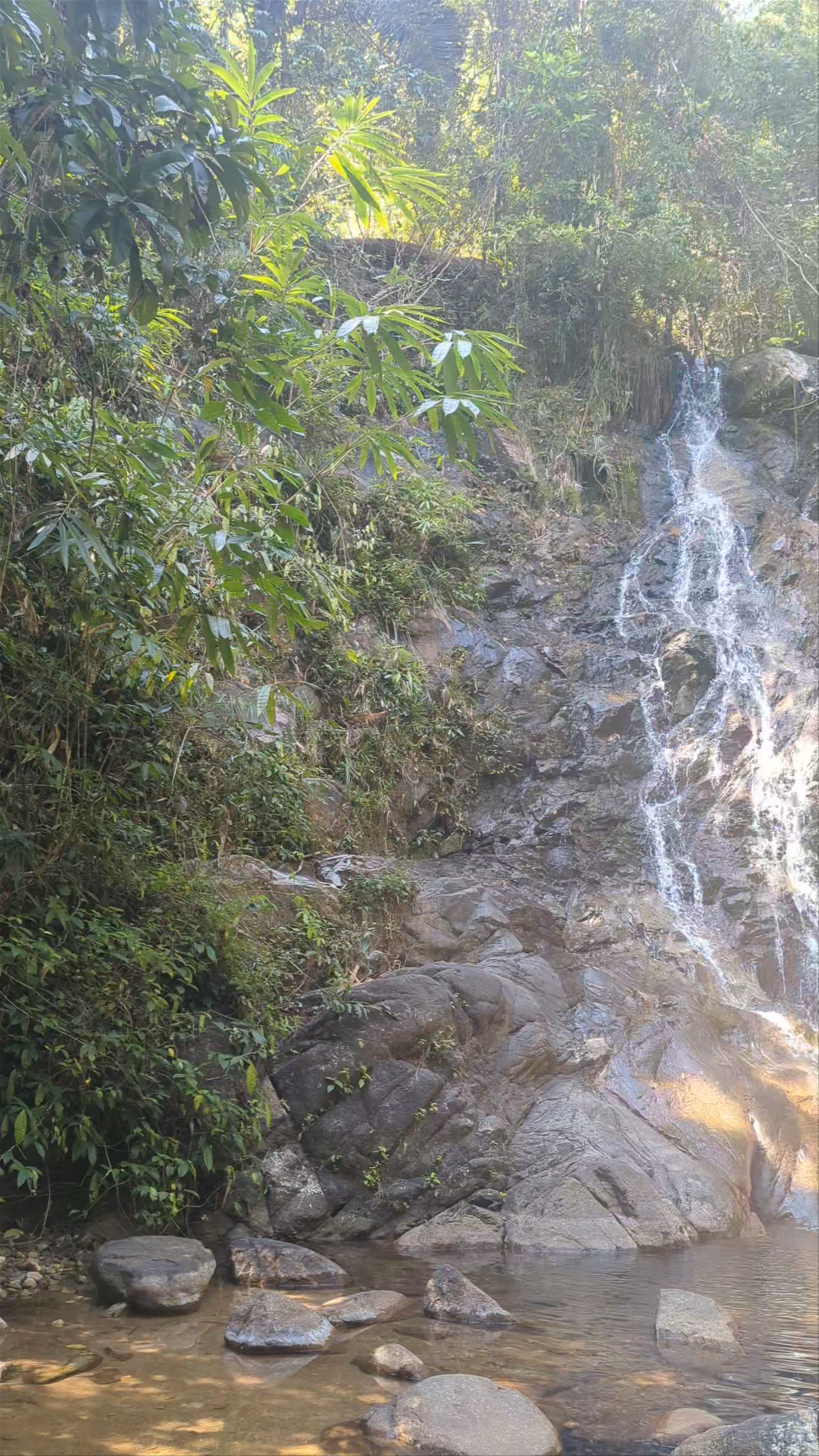 Namtok Sai Rung Waterfall Immersed in Phang Nga Jungle Beauty