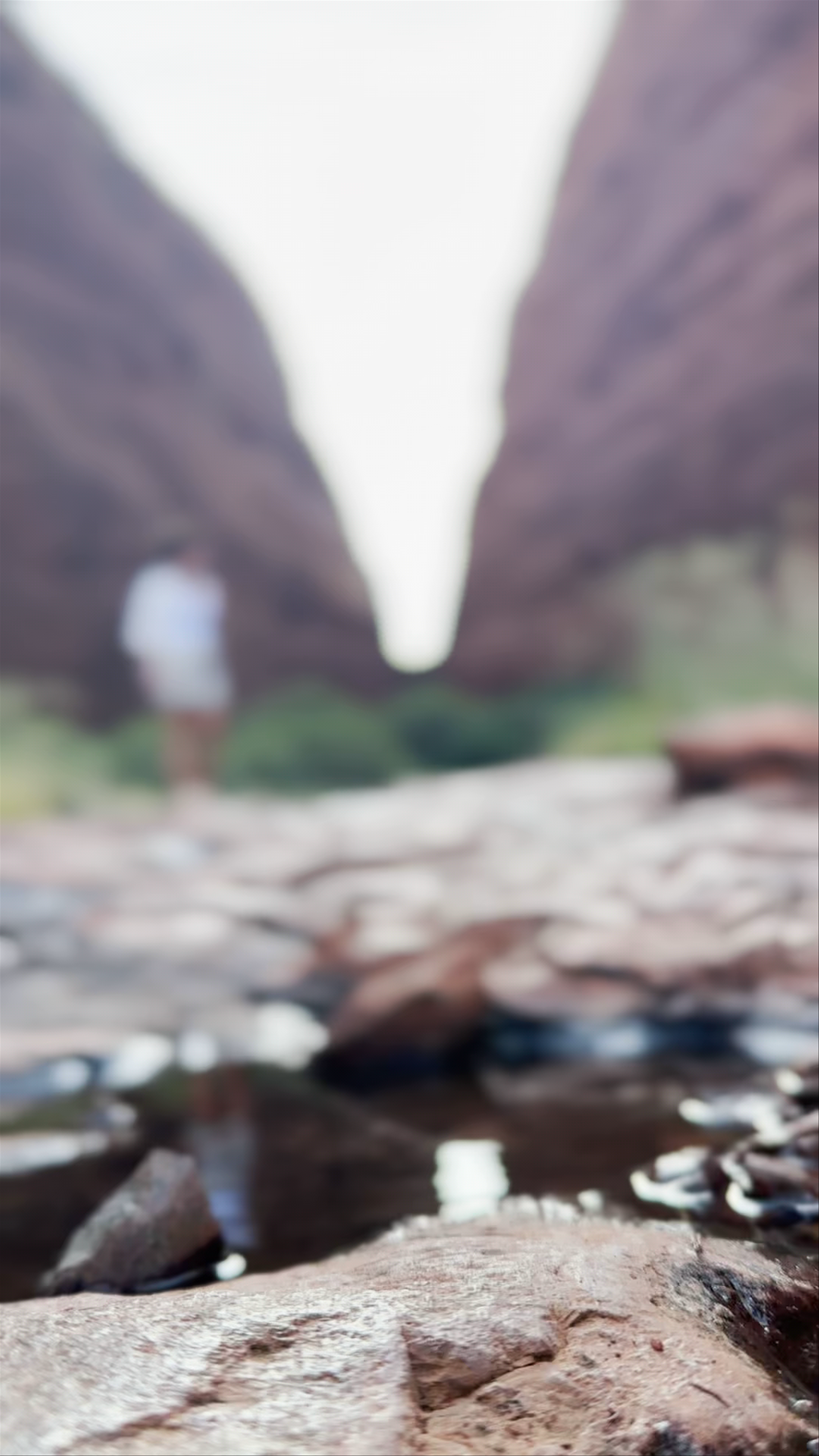Kata Tjuta / Mount Olga
