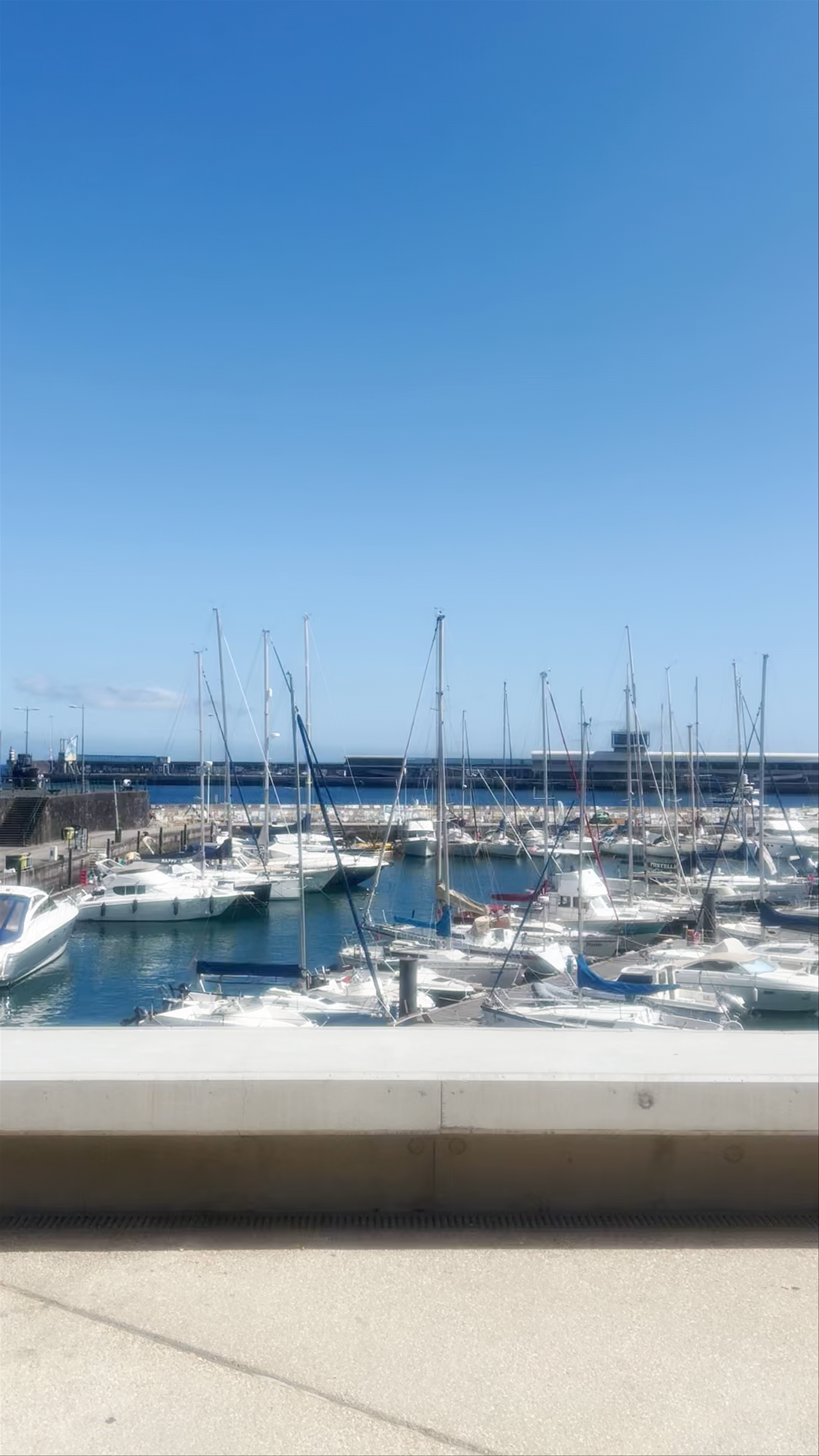 Marina do Funchal