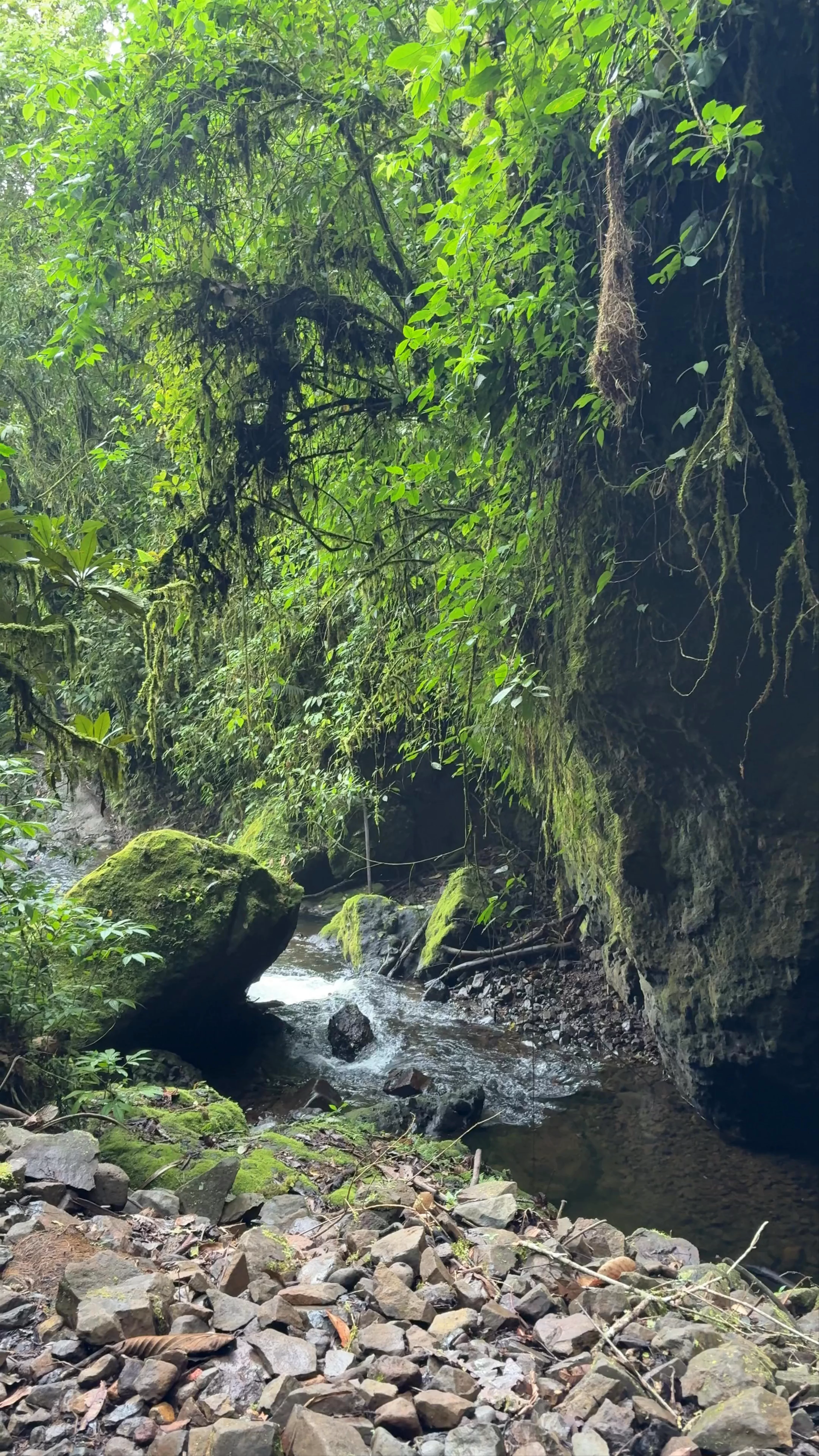 Cueva del Esplendor