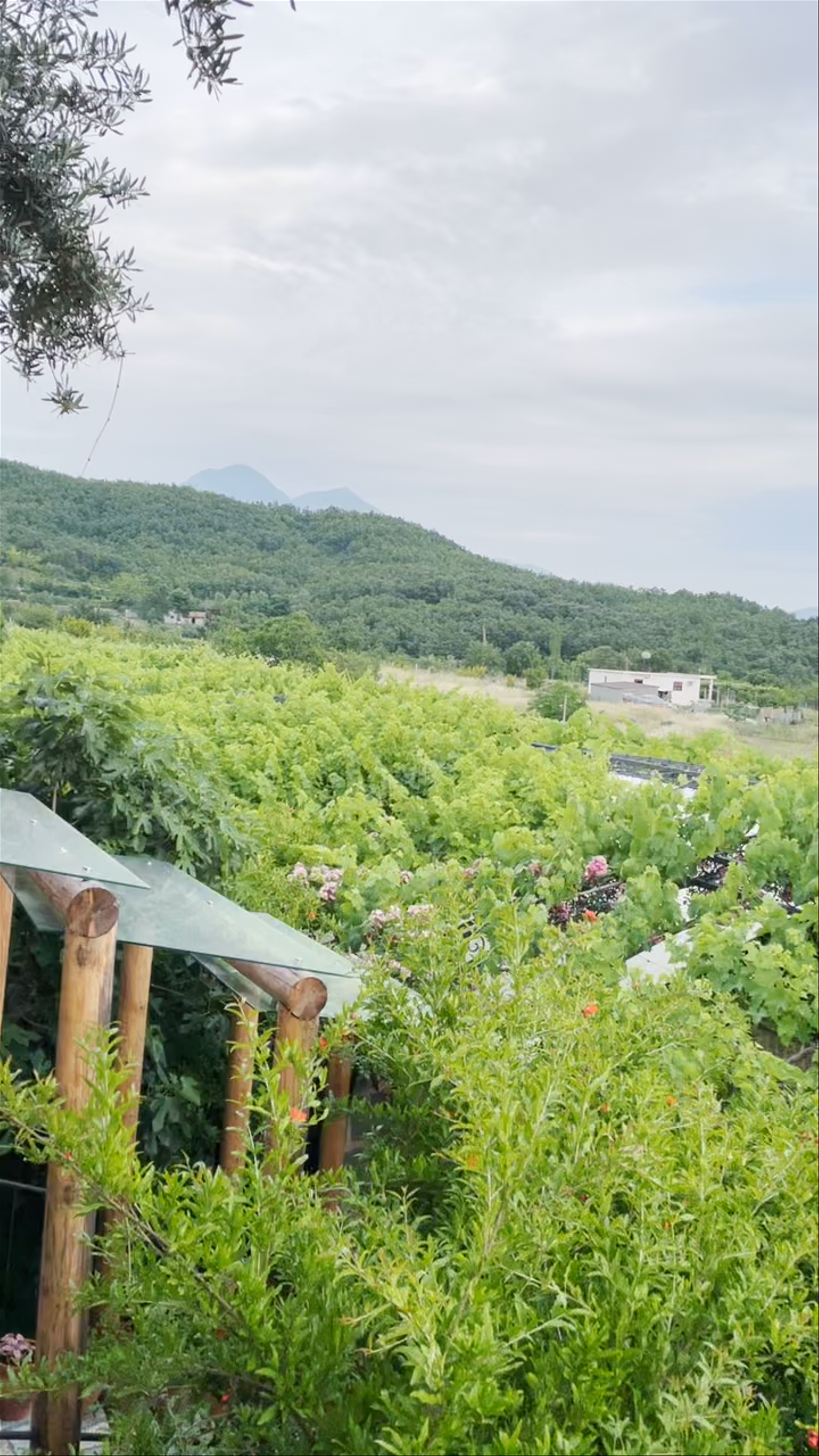 Mrizi i Zanave Agroturizëm