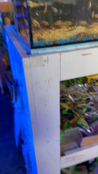 Atlanta Aquarium - Aquarium Services Near Me - Duluth, Georgia