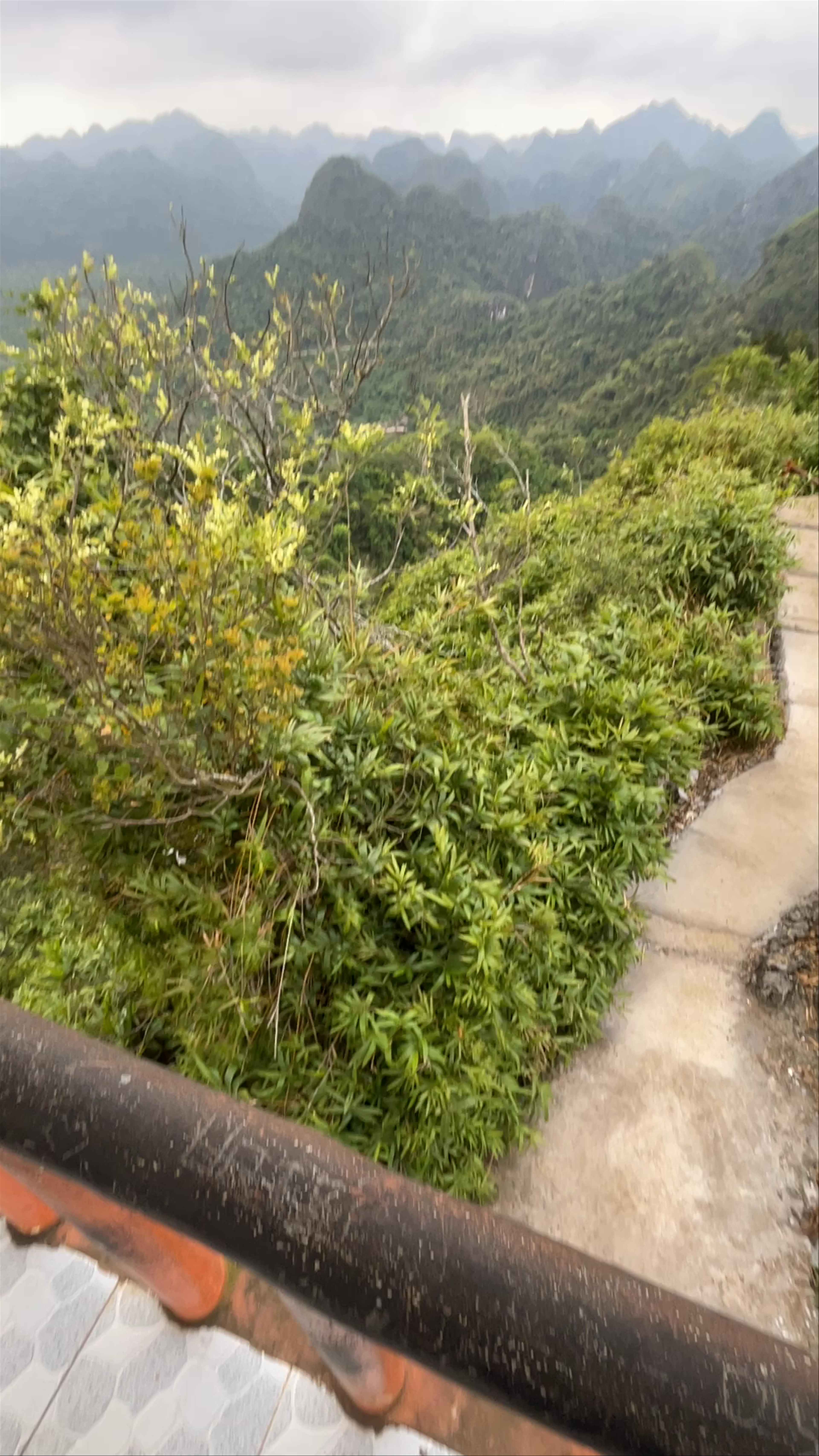 Đỉnh Ngự Lâm