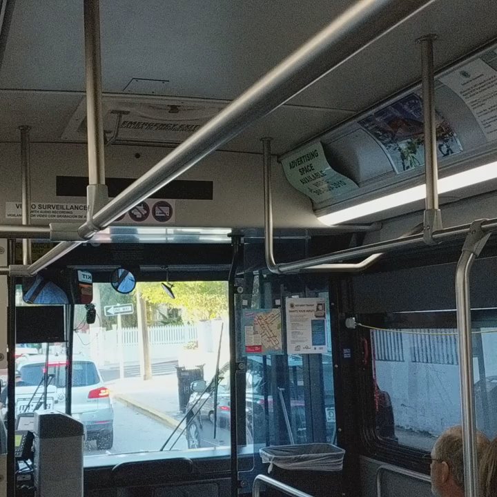 Duval Loop - Duval Loop -- free tourist bus / drunk bus - Buses Near Me