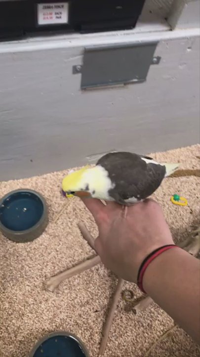 The Pet Warehouse - Pet Stores Near Me - Jacksonville, North Carolina