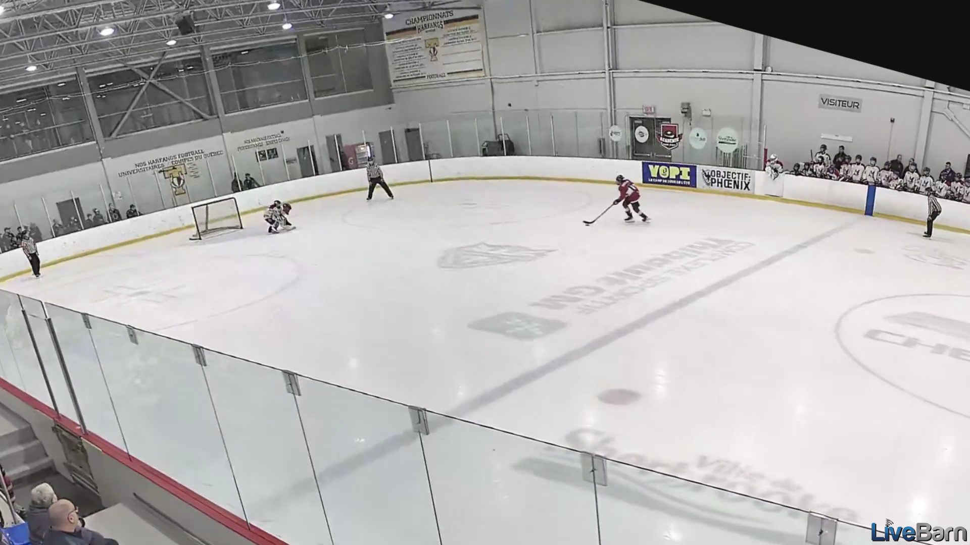 Antonio Di Girolamo: Offensive Highlights shootout