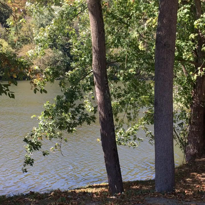 High Five Coffee - Riverside - Outdoor ambiance, family friendly, along the east bank of the mighty French Broad. - Coffee & Tea Near Me - Woodfin, North Carolina