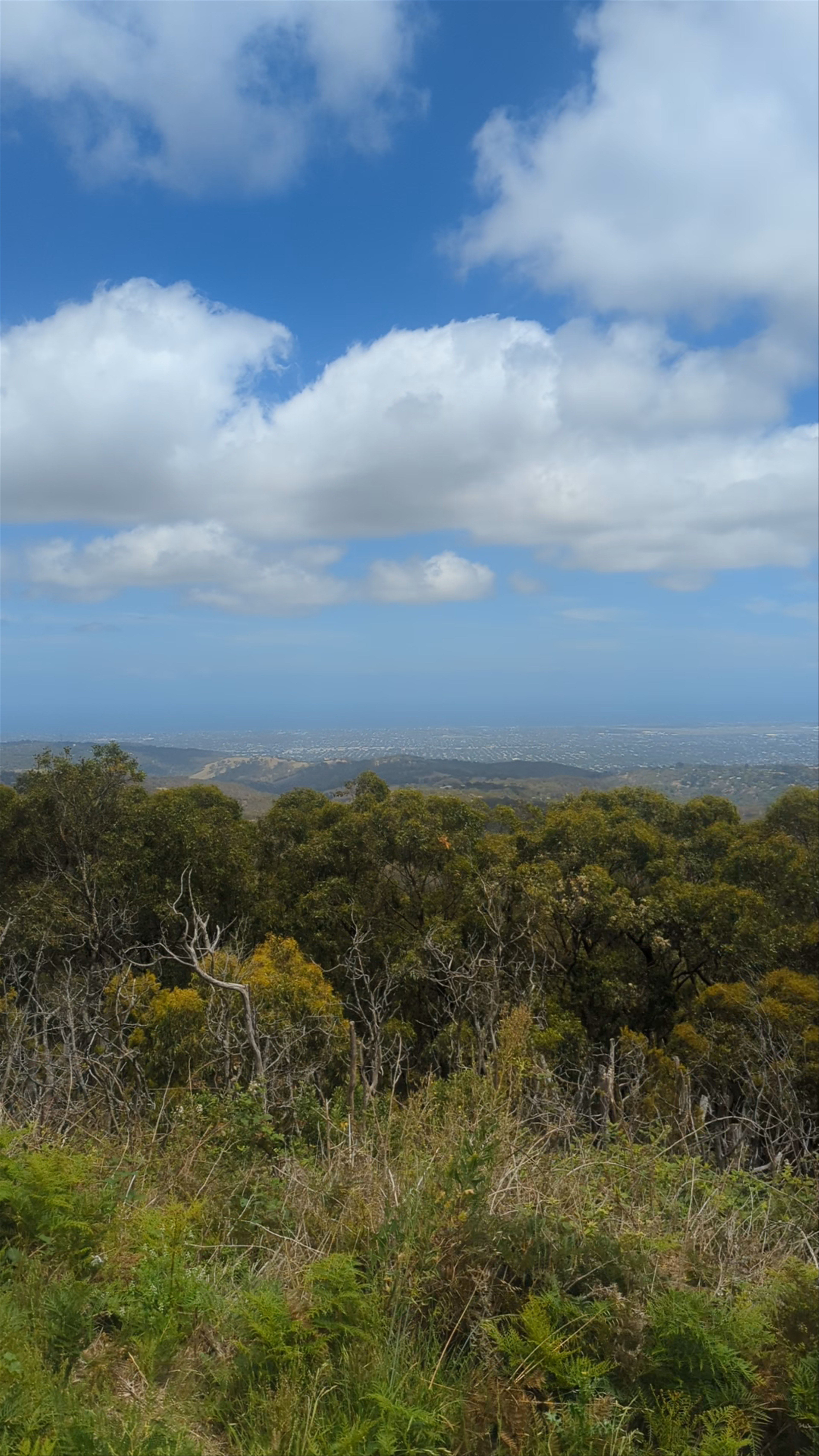 Mount Lofty Summit