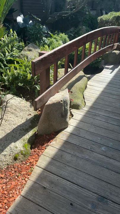 Tokyo Garden - Walking in to restaurant. So beautiful. They also have some food out so you can feed the fish. - Sushi Bars Near Me - Visalia, California