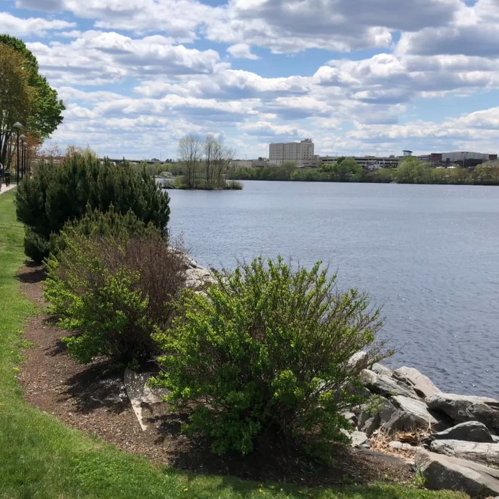 High Tide Restaurant & Bar - Outdoor view - Seafood Near Me - Brewer, Maine