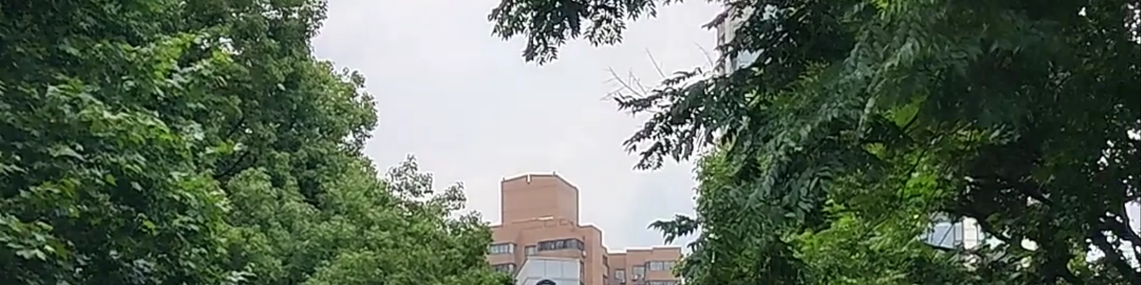 People's Park