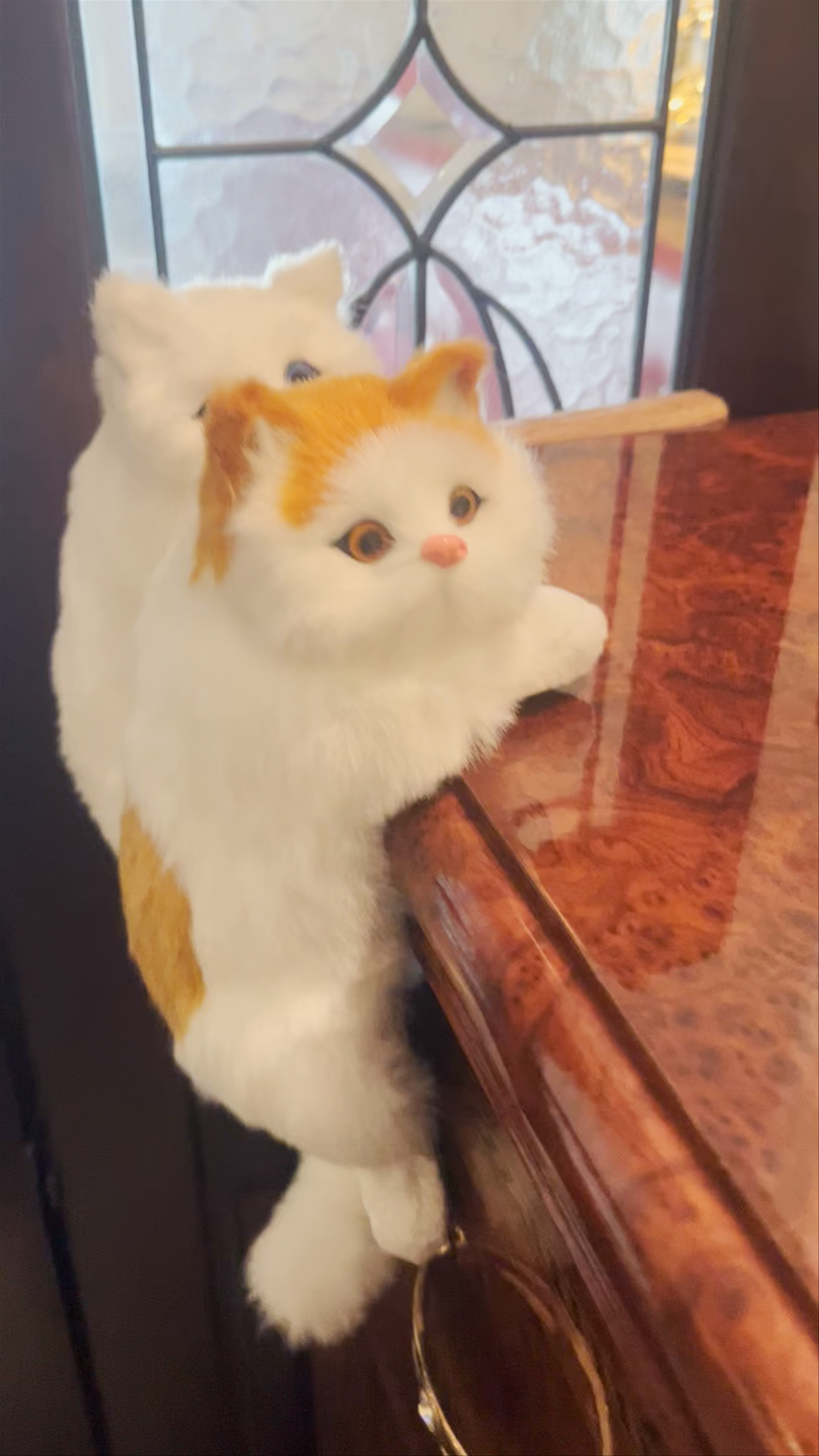 Ken's Coffee Shop