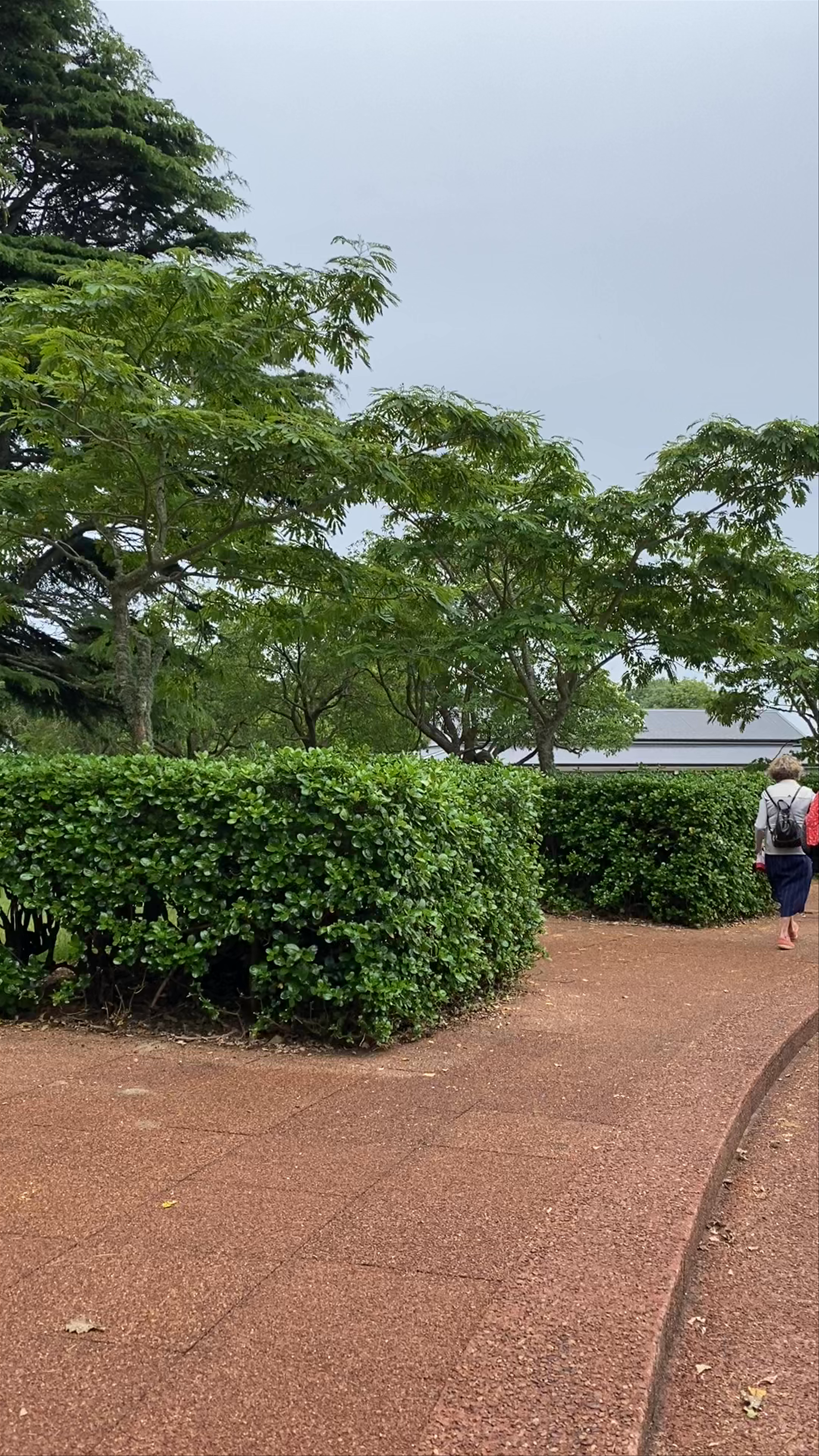 Serene Pathways at Cornwall Park, Auckland