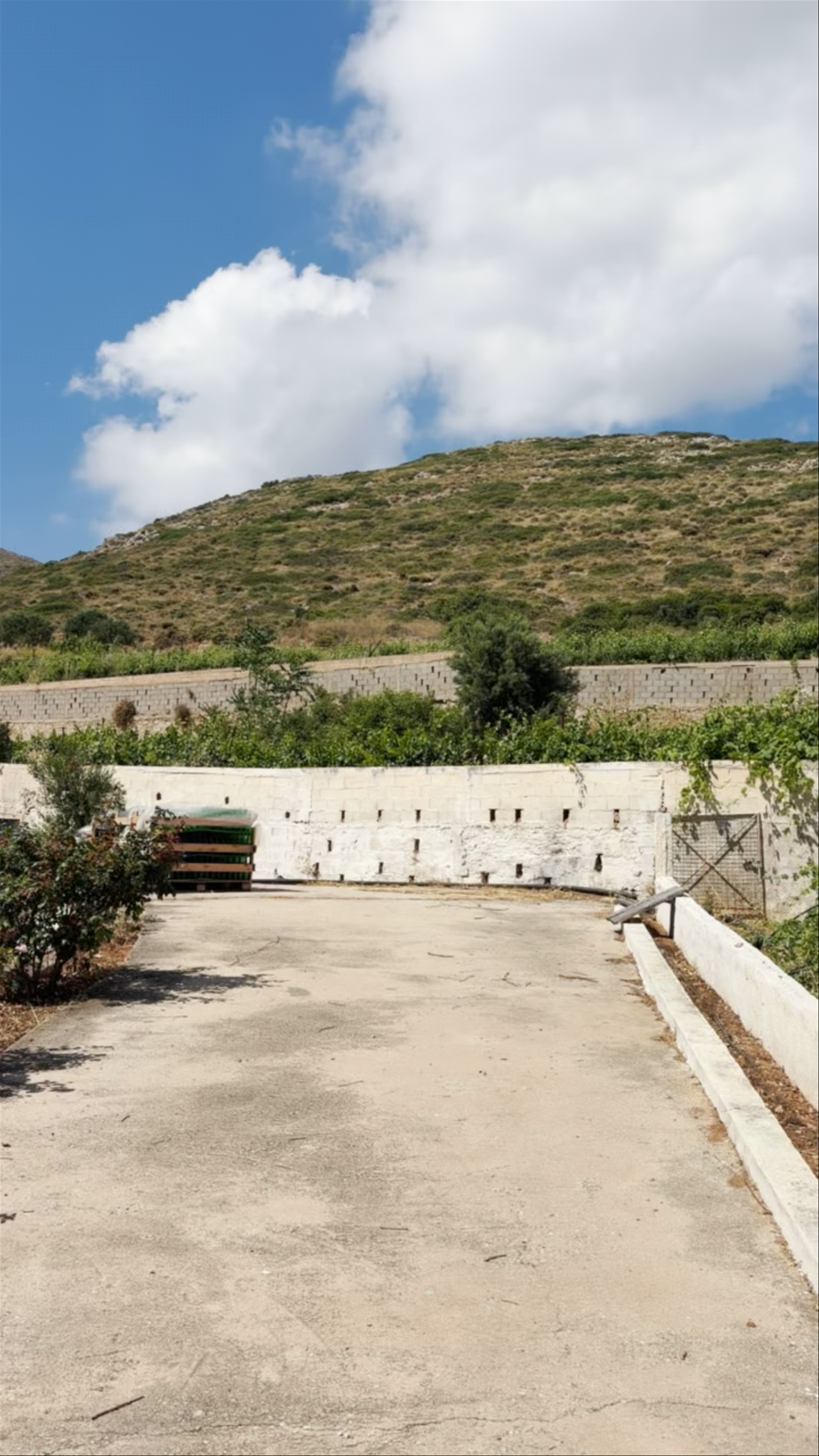 Winery ‘Isichi Ampelones’