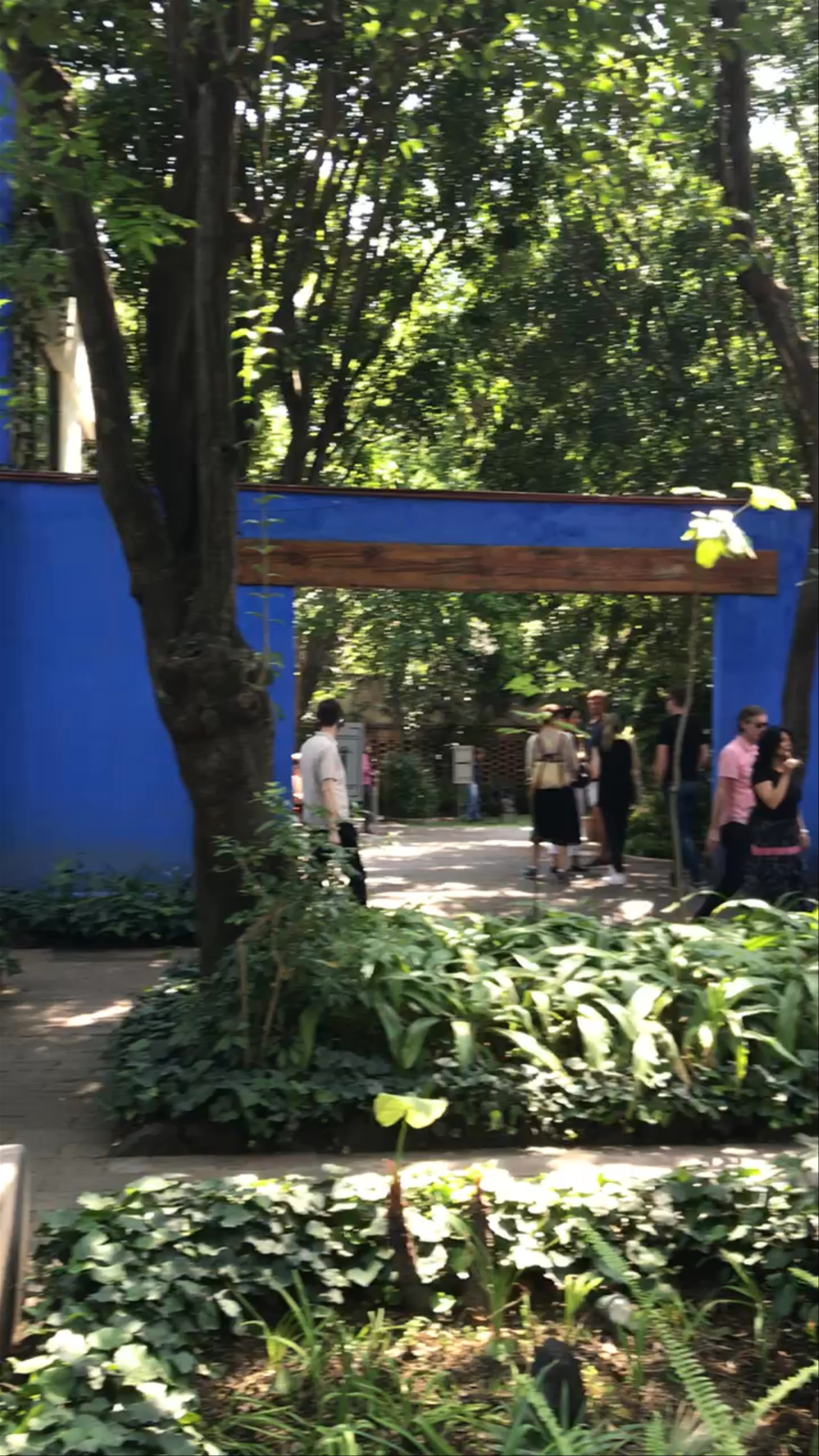 Frida Kahlo Museum