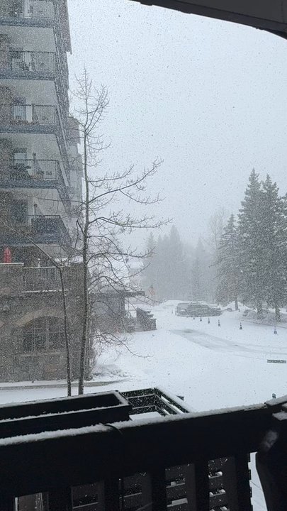 Lodge at Vail - Hotels Near Me - Vail, Colorado