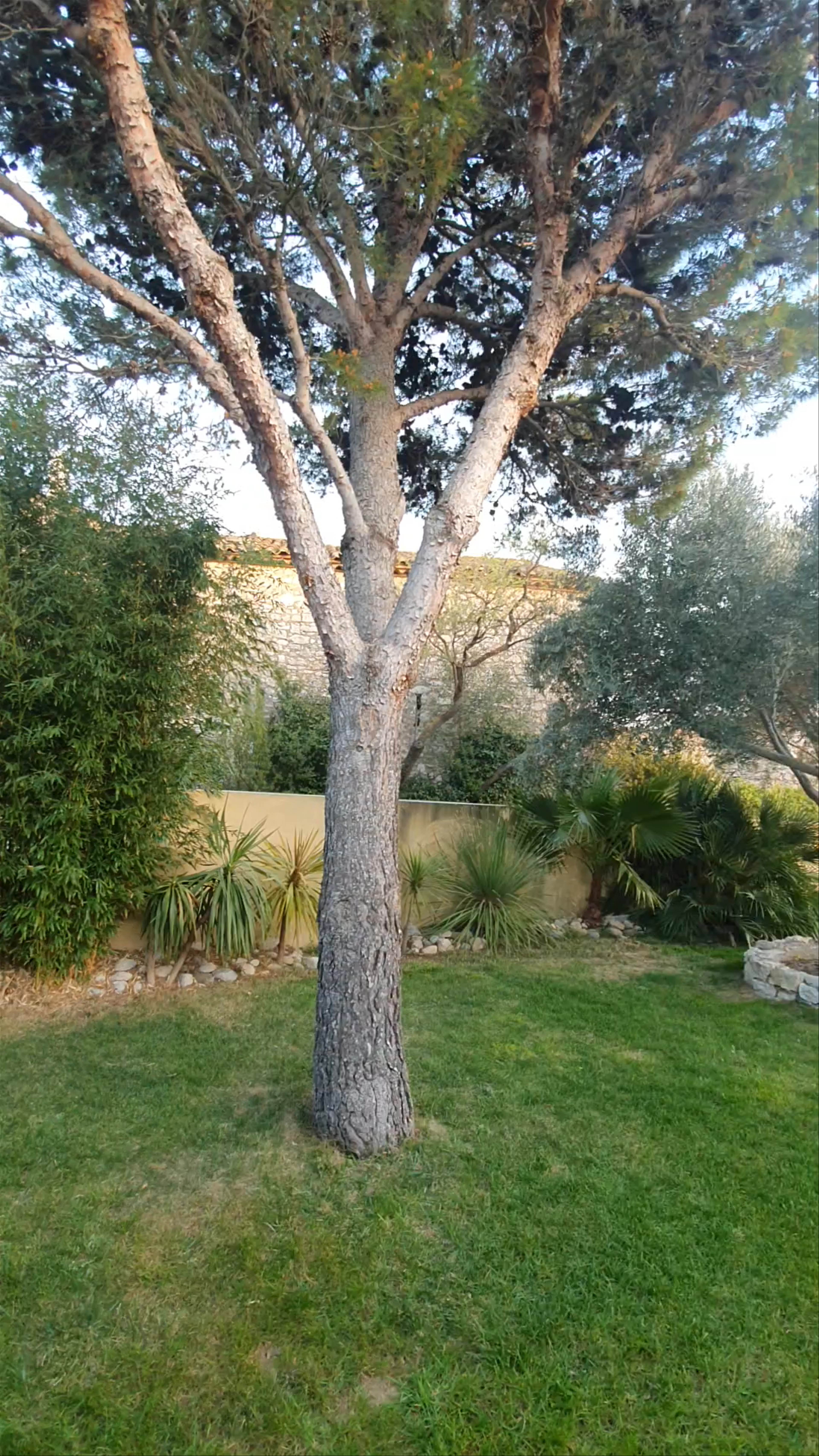 Chambres D'Hotes Du Moulin