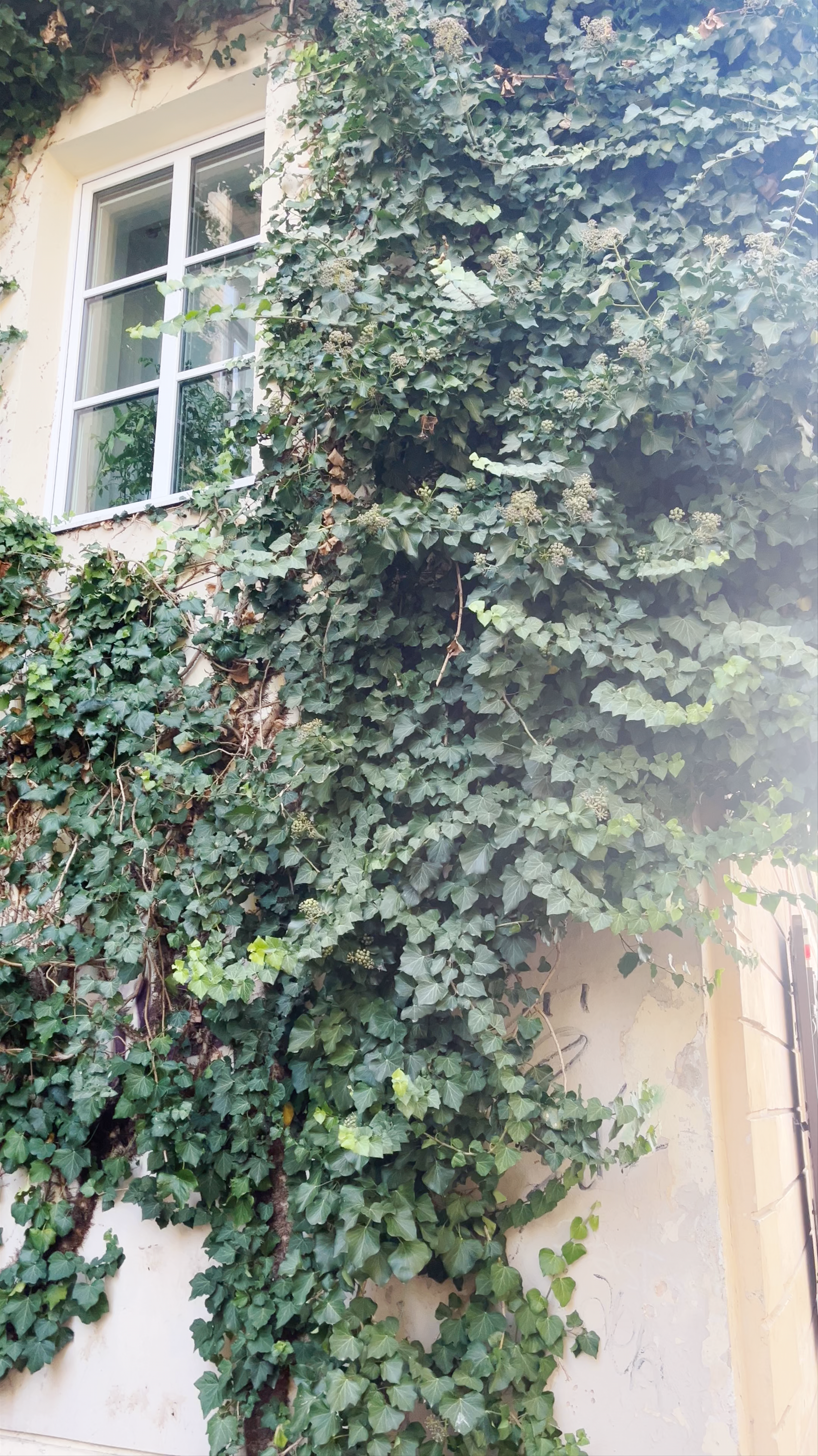 Church Heritage Museum