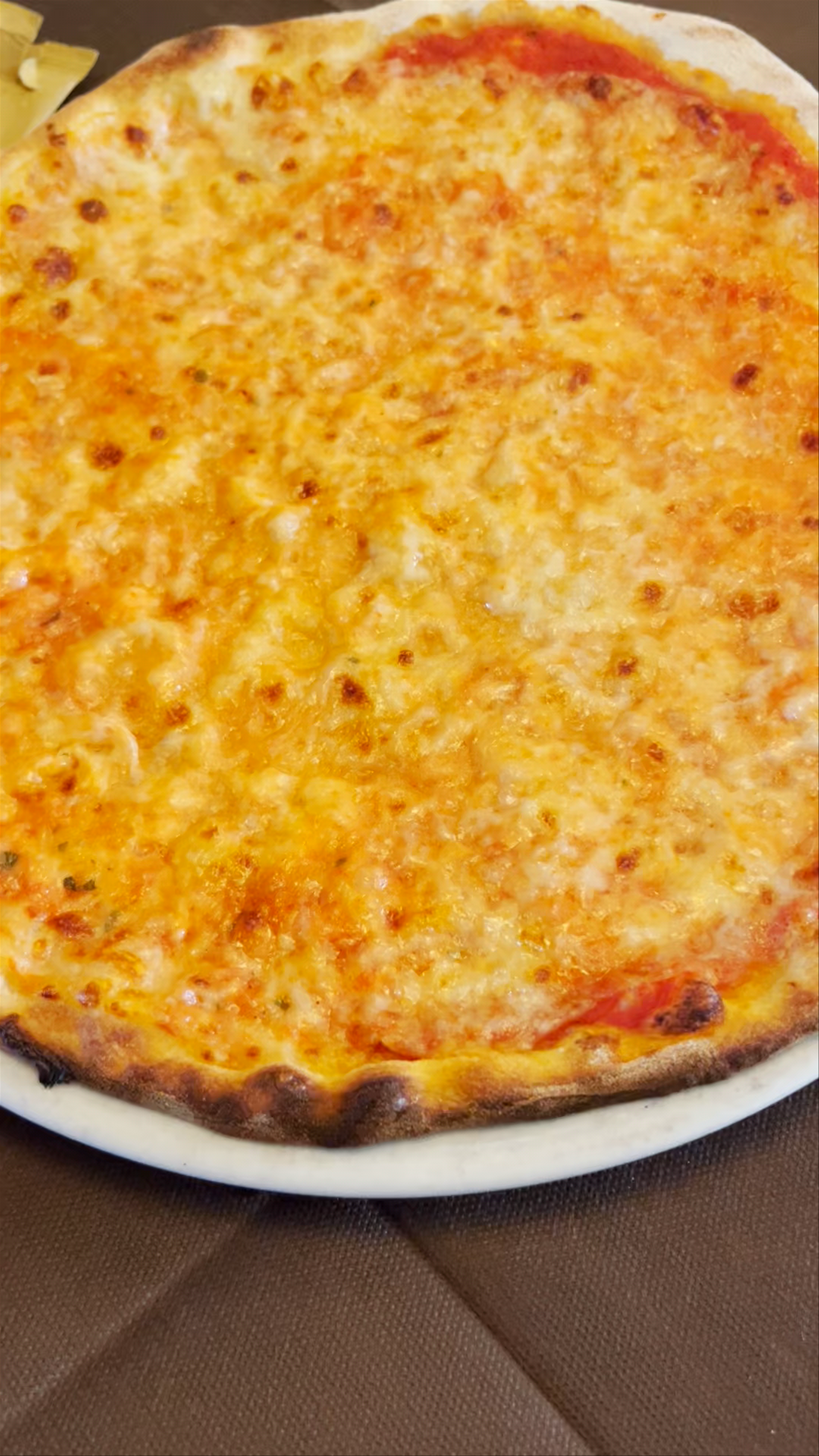 Ariston Bar Pizzeria & Restaurant