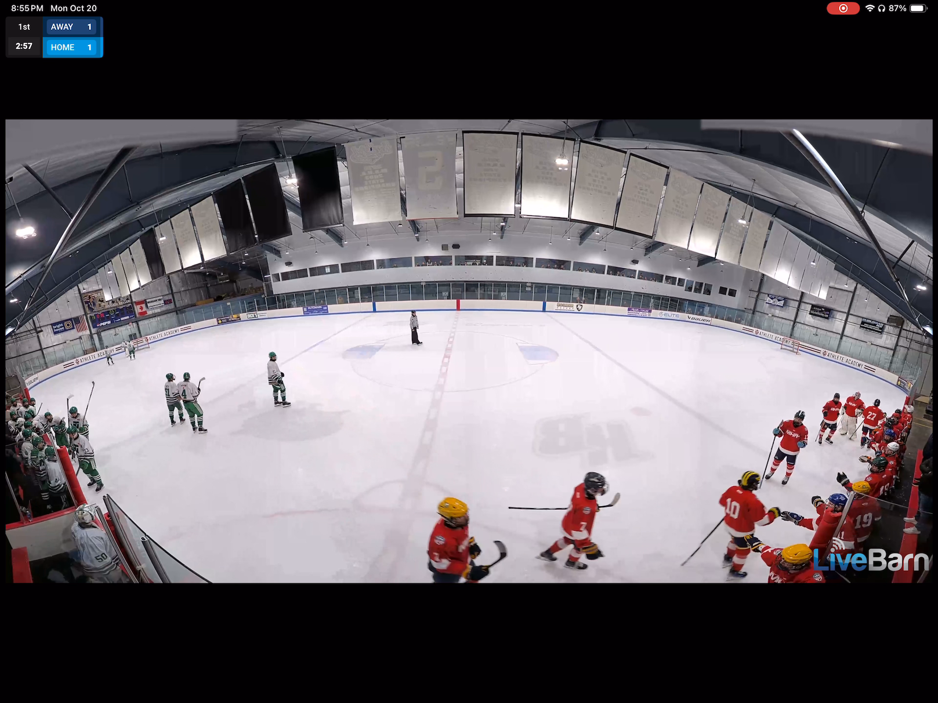 MHA Red 18U AAA(Split Season)