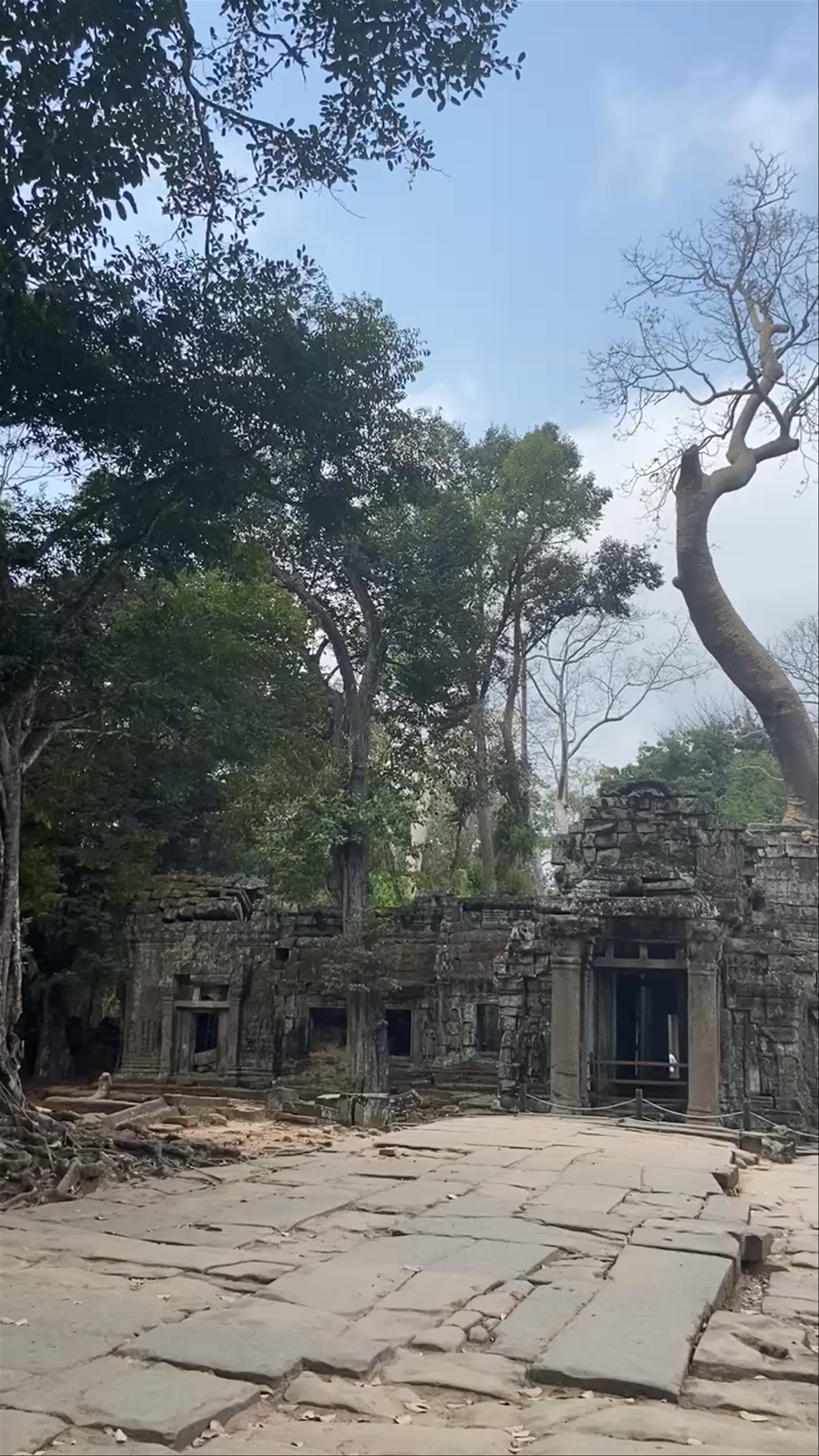 Ta Prohm