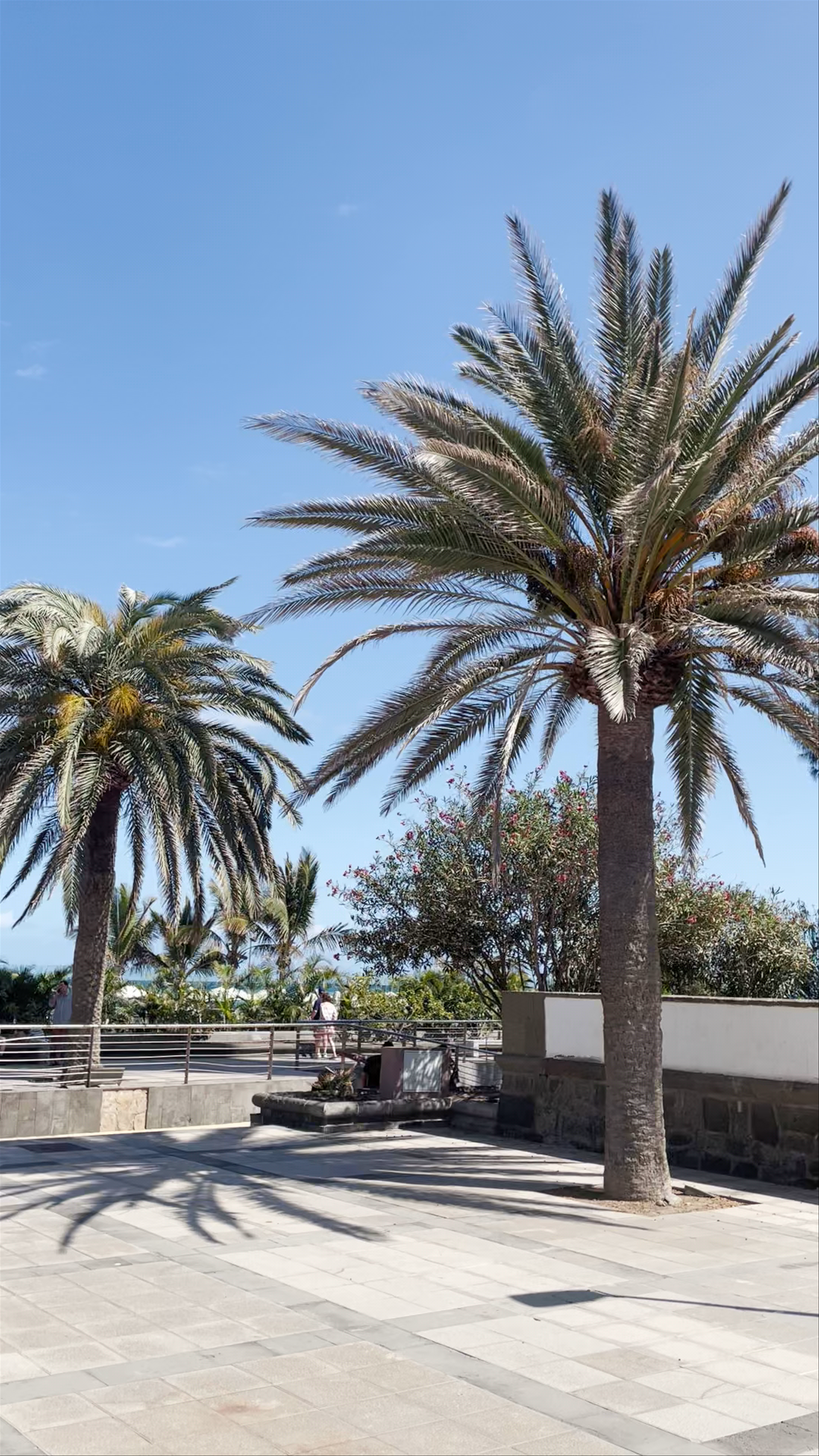 Faro de Maspalomas: Sunlit Coastal Icon in Gran Canaria
