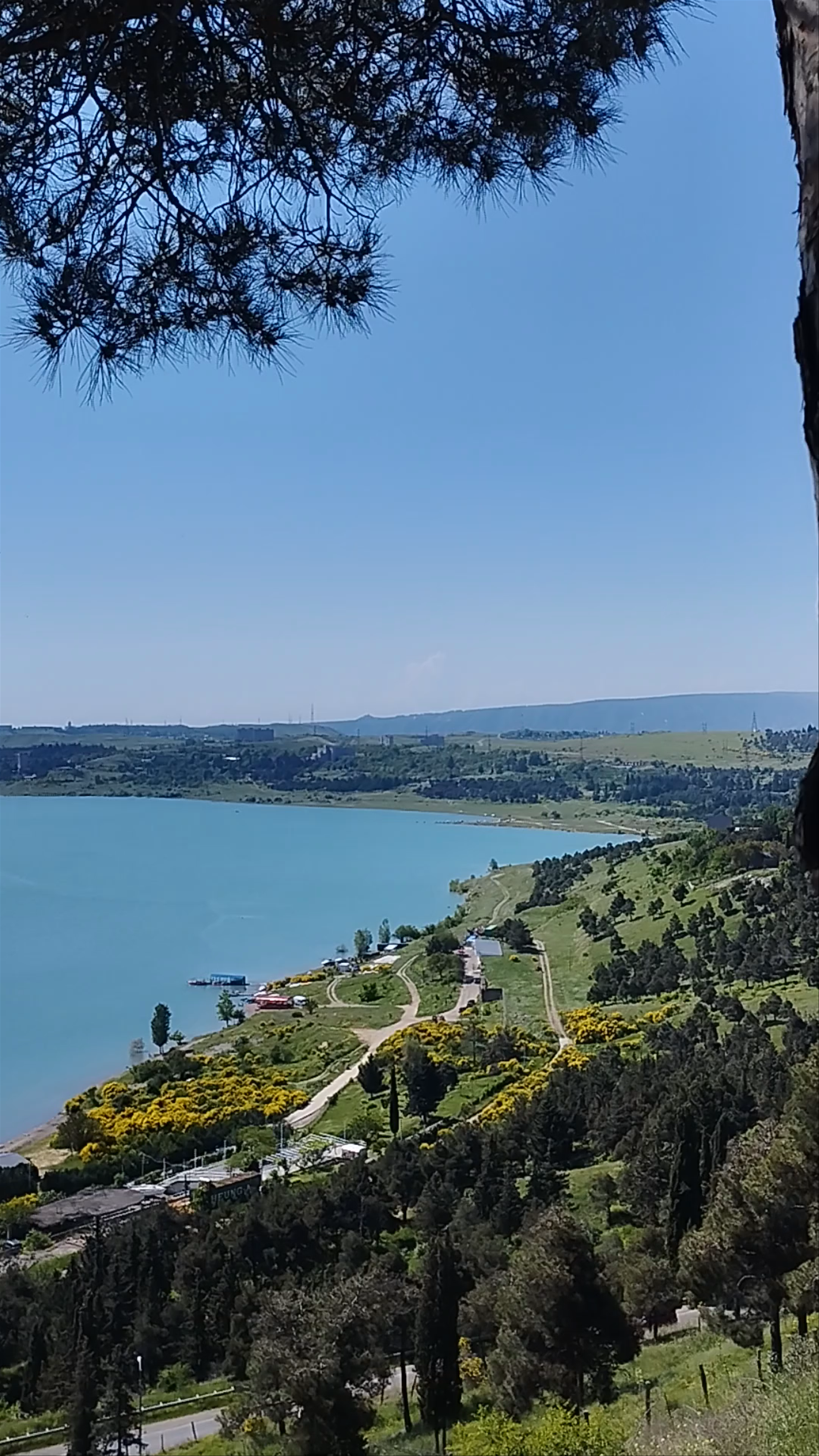 Viewpoint