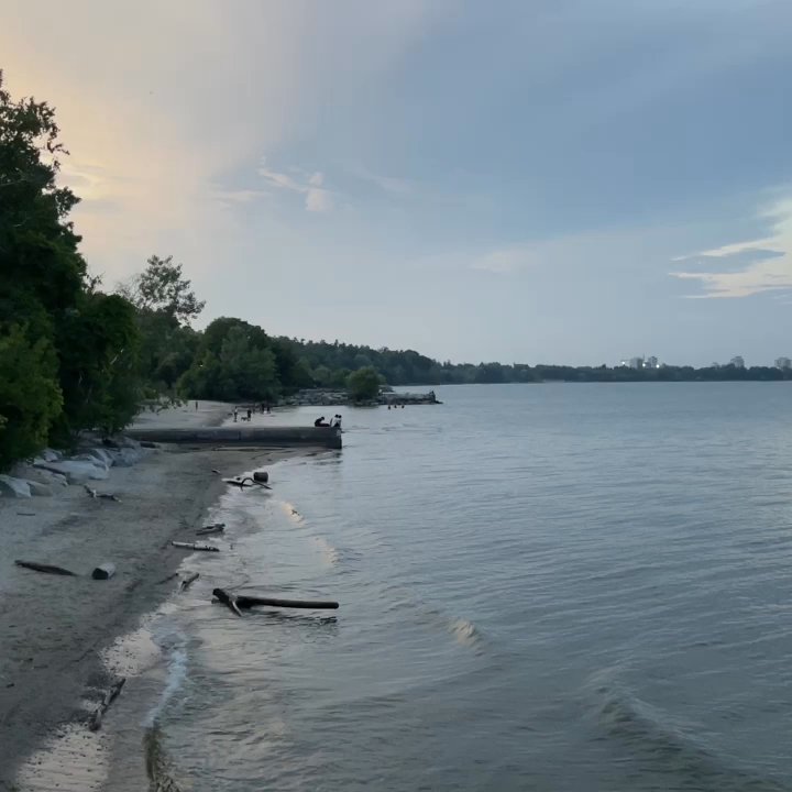 Rattray Marsh - Scenic View - Hiking Near Me - Mississauga, Ontario
