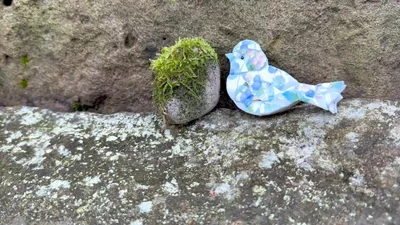Preview image for video