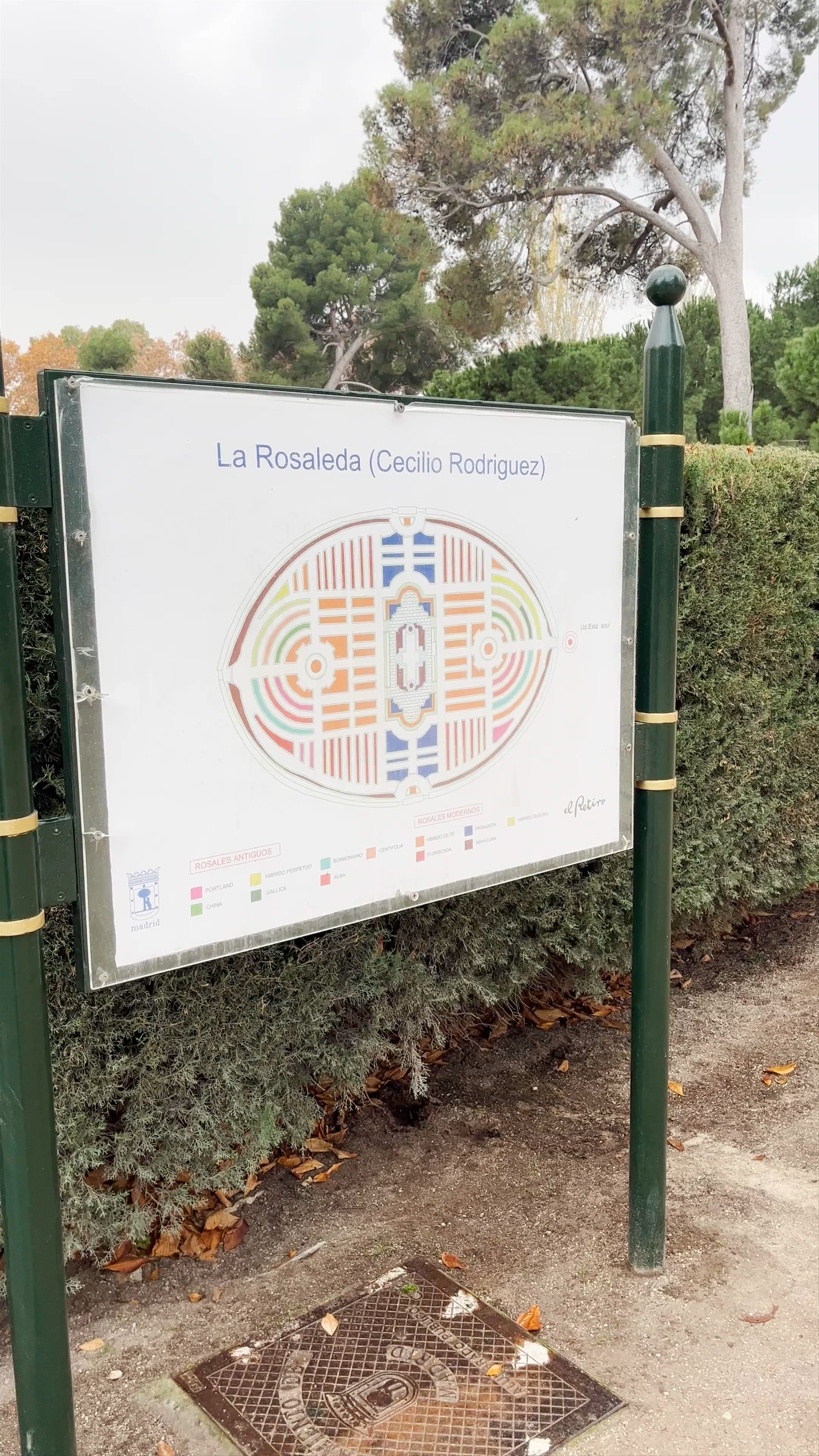 La Rosaleda (Cecilio Rodriguez): A Serene Rose Garden in Madrid