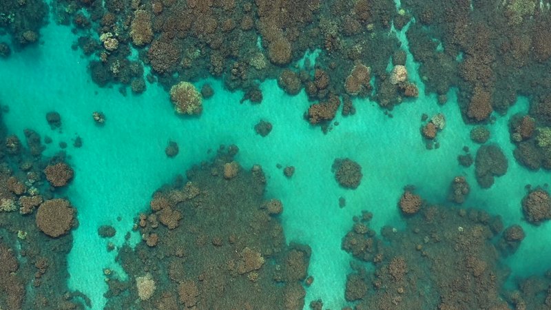 Shallow Tropical Water in Maui, Hawaii poster