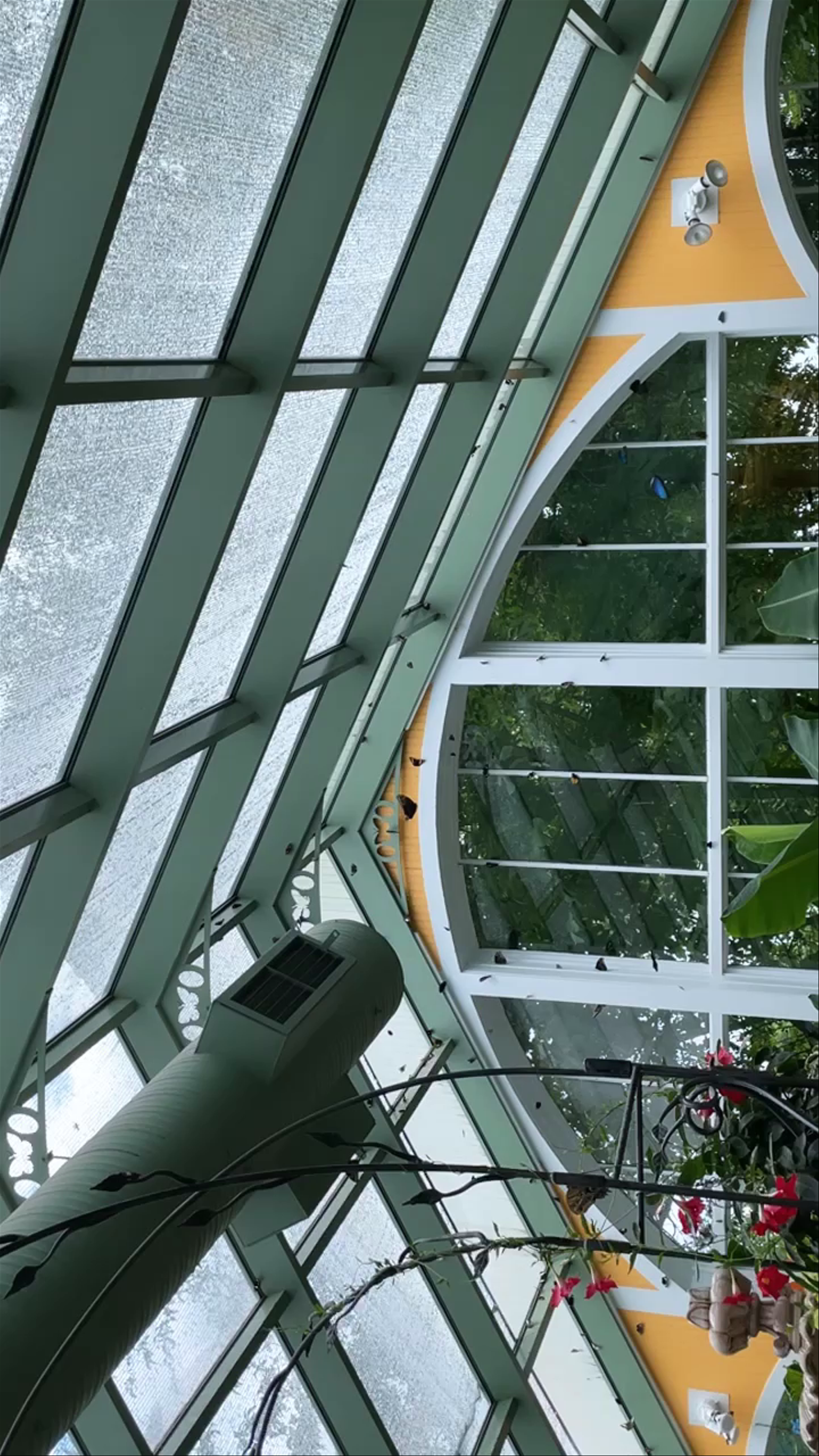 Mackinaw Island Butterfly House