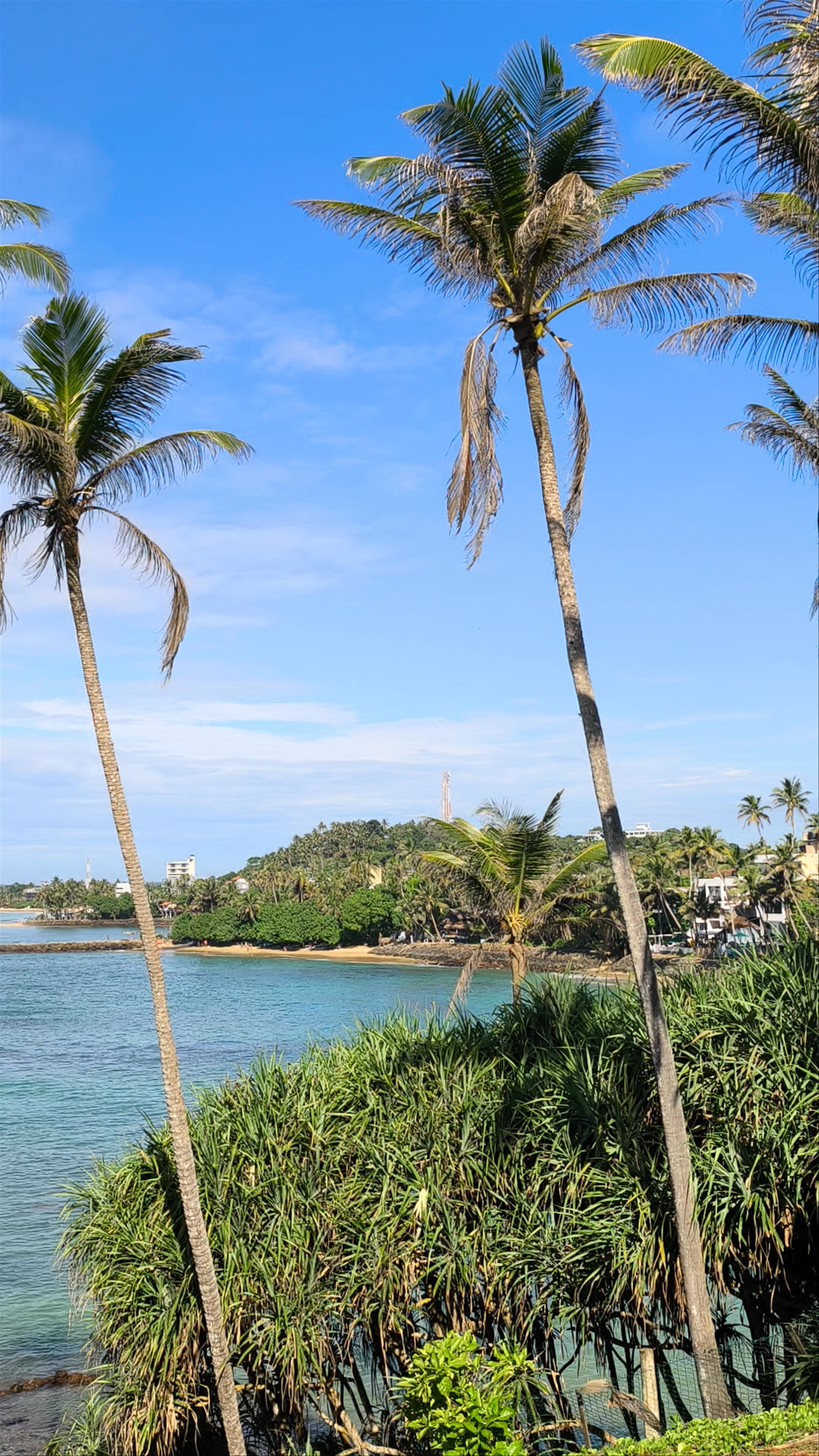 Coconut Tree Hill - Mirissa