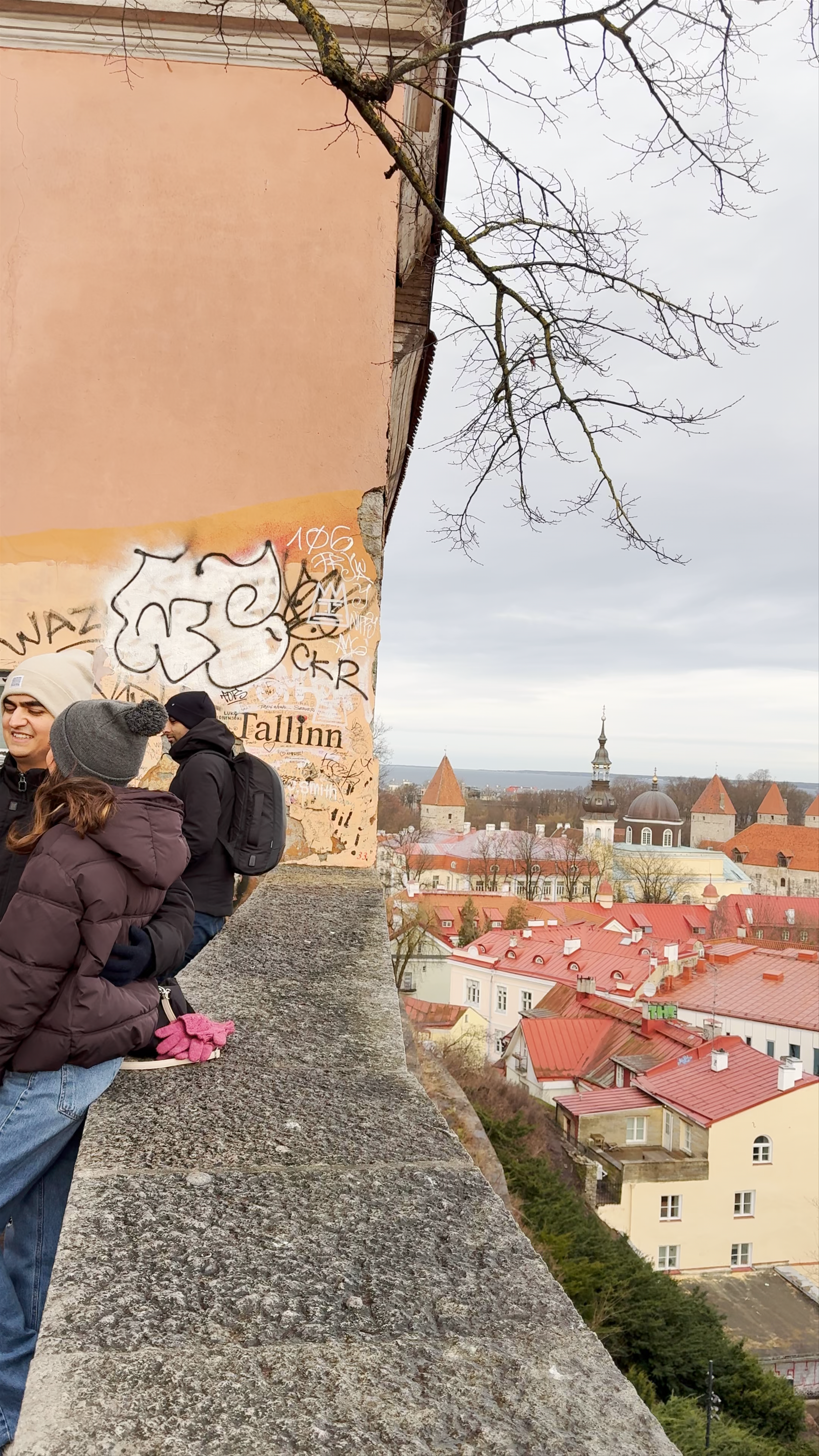 Kohtuotsa viewing platform
