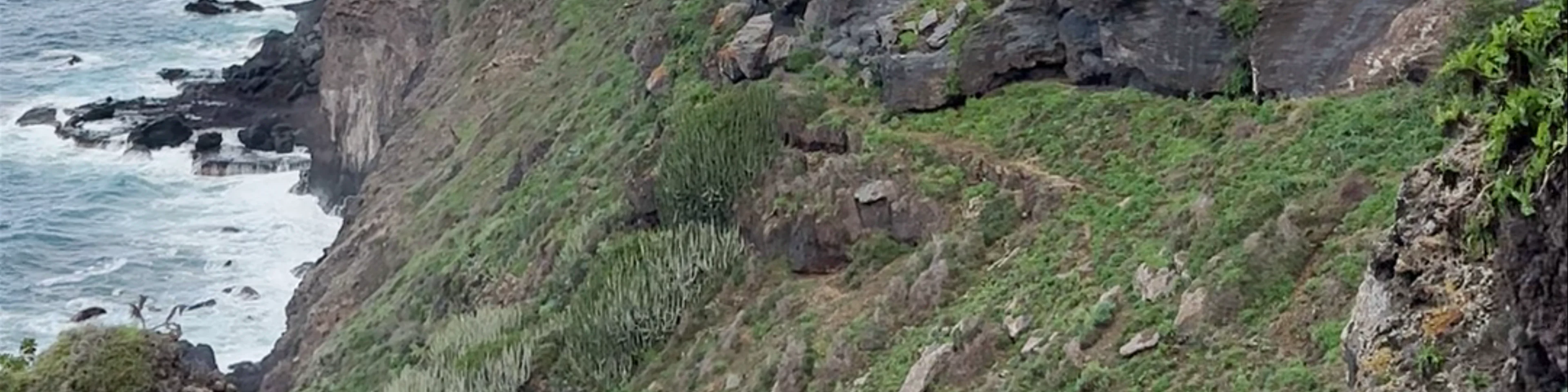 Plaza Las Rosas