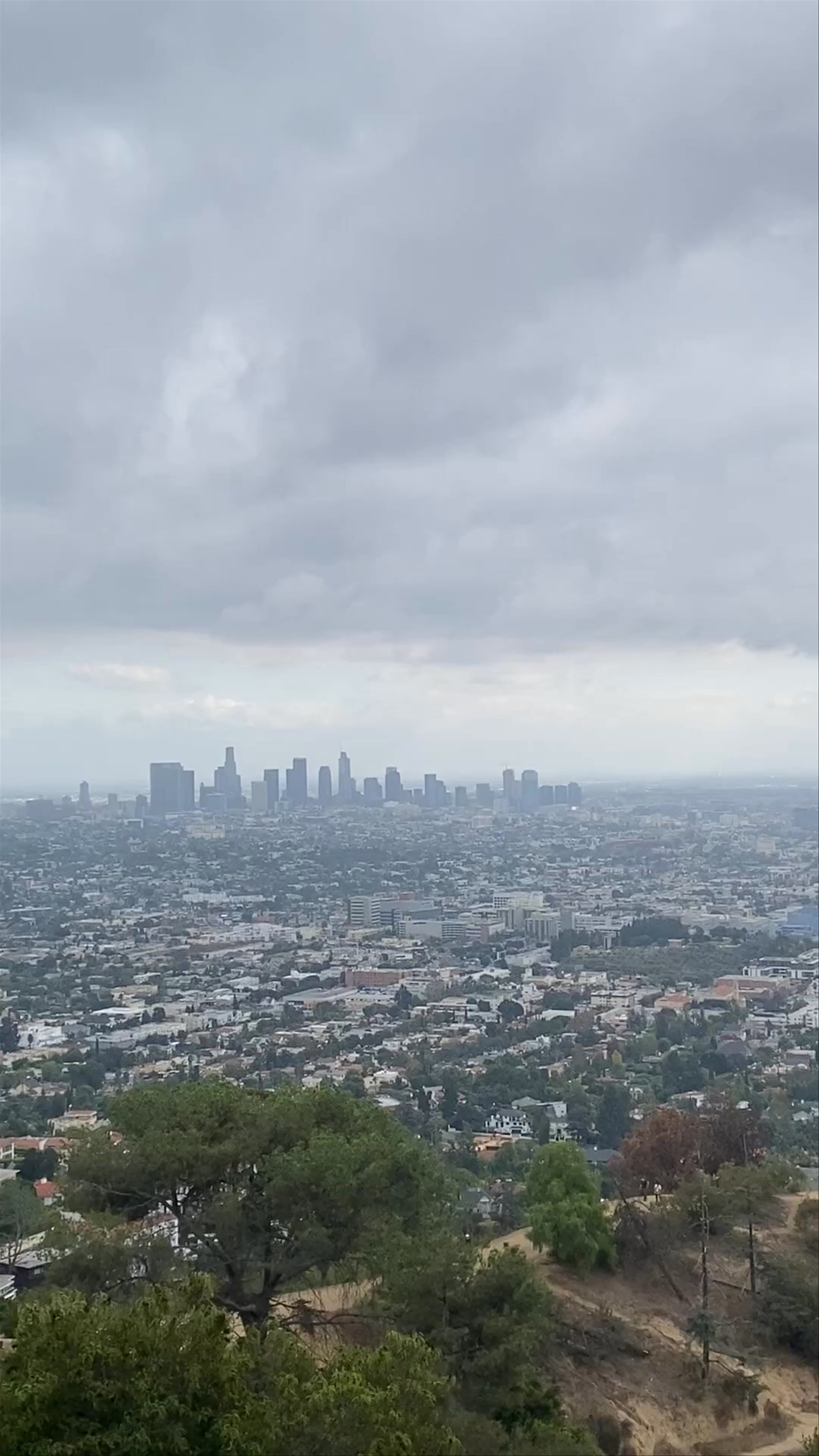 Griffith Observatory Foundation