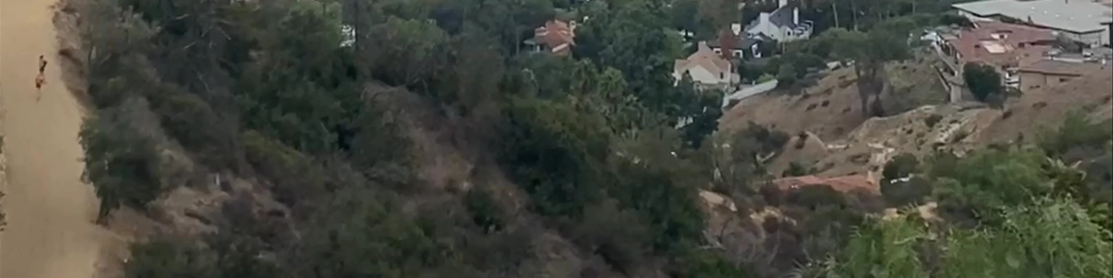 Griffith Observatory Foundation