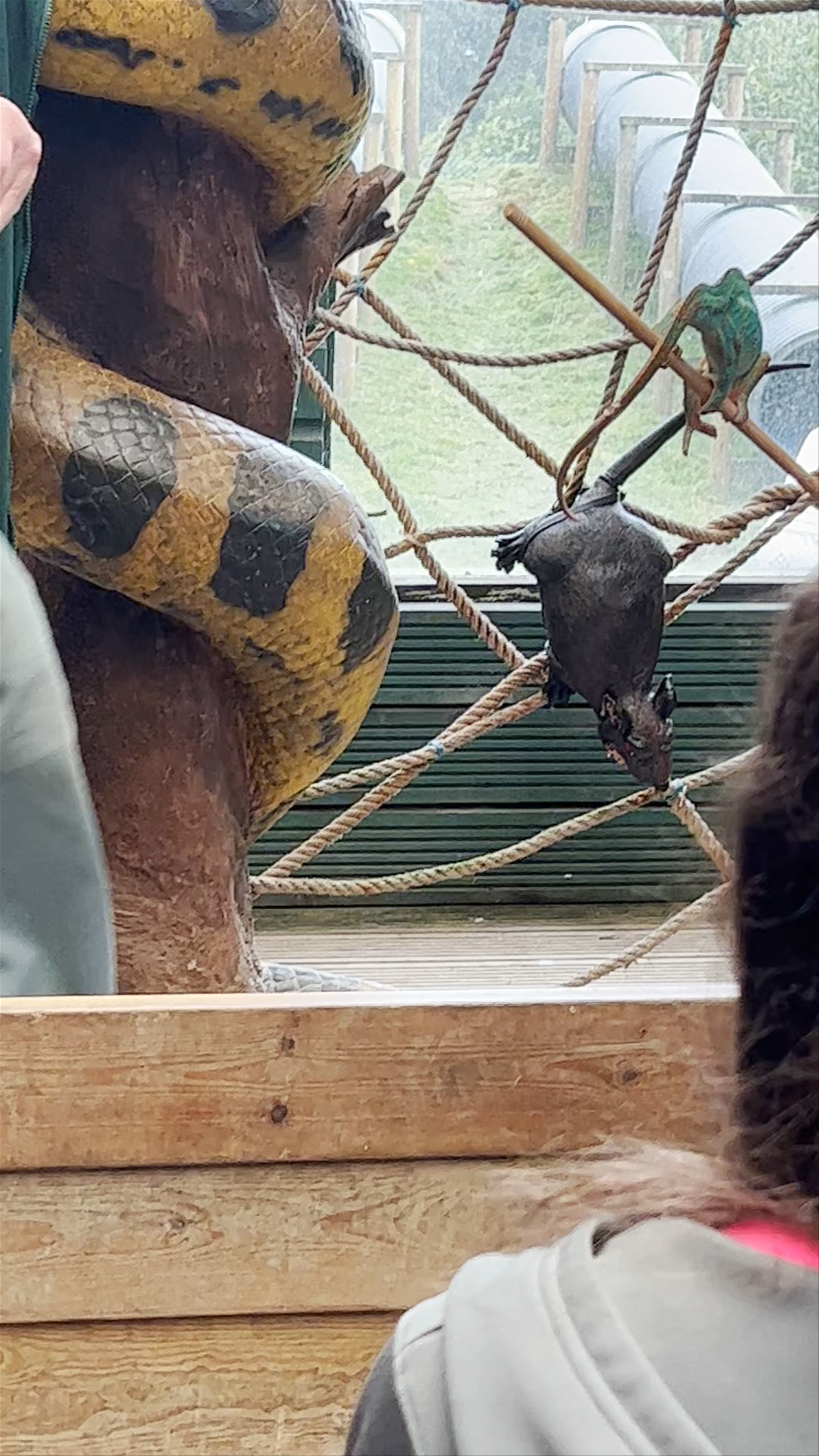 Exmoor Zoological and Conservation Centre