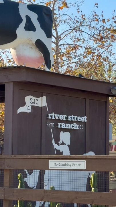 River Street Ranch - RIVER STREET RANCH, San Juan Capistrano, CA! - Petting Zoos Near Me - San Juan Capistrano, California