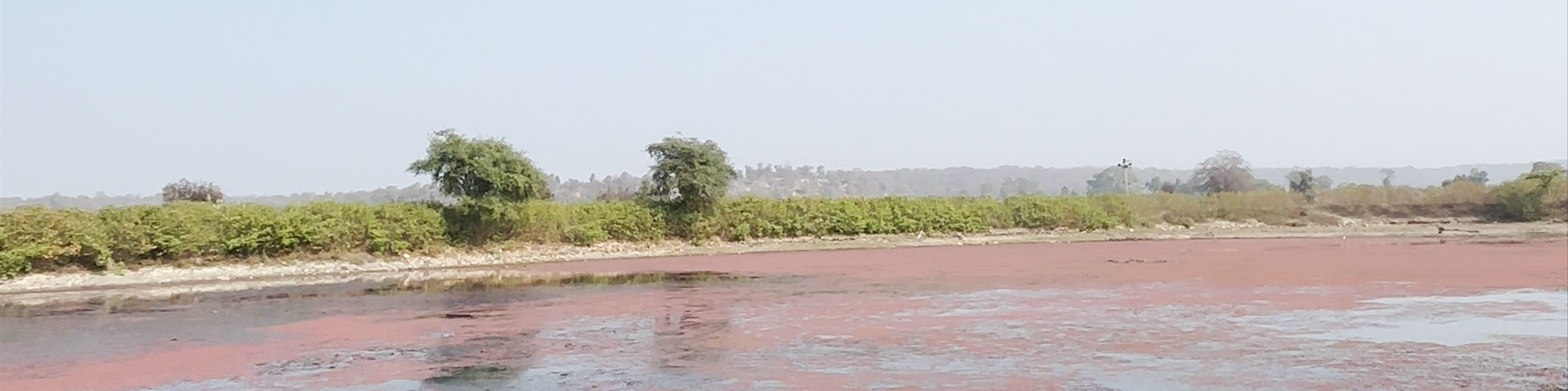 Bhilwara
