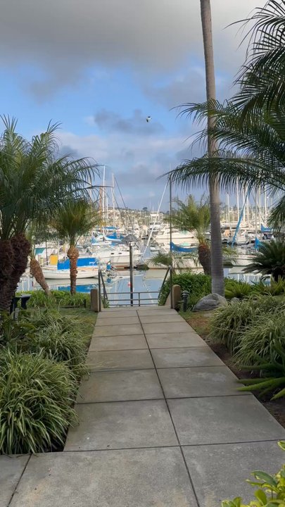 Best Western Plus Island Palms Hotel & Marina - San Diego, CA