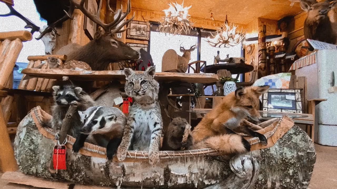 American Natural Resources - Furniture Stores Near Me - Griffith, Indiana